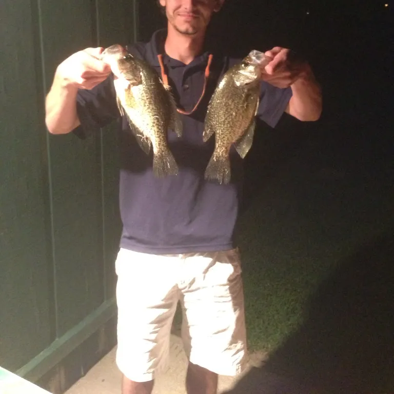 angler catch