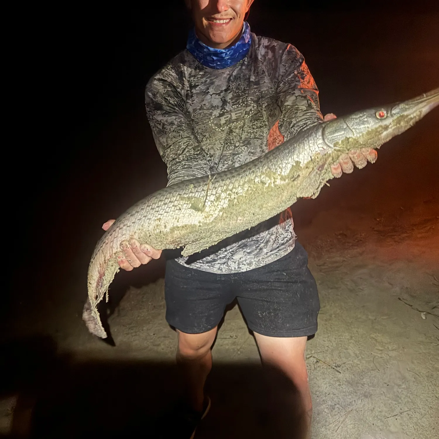 Longnose gar caught on Fishbrain