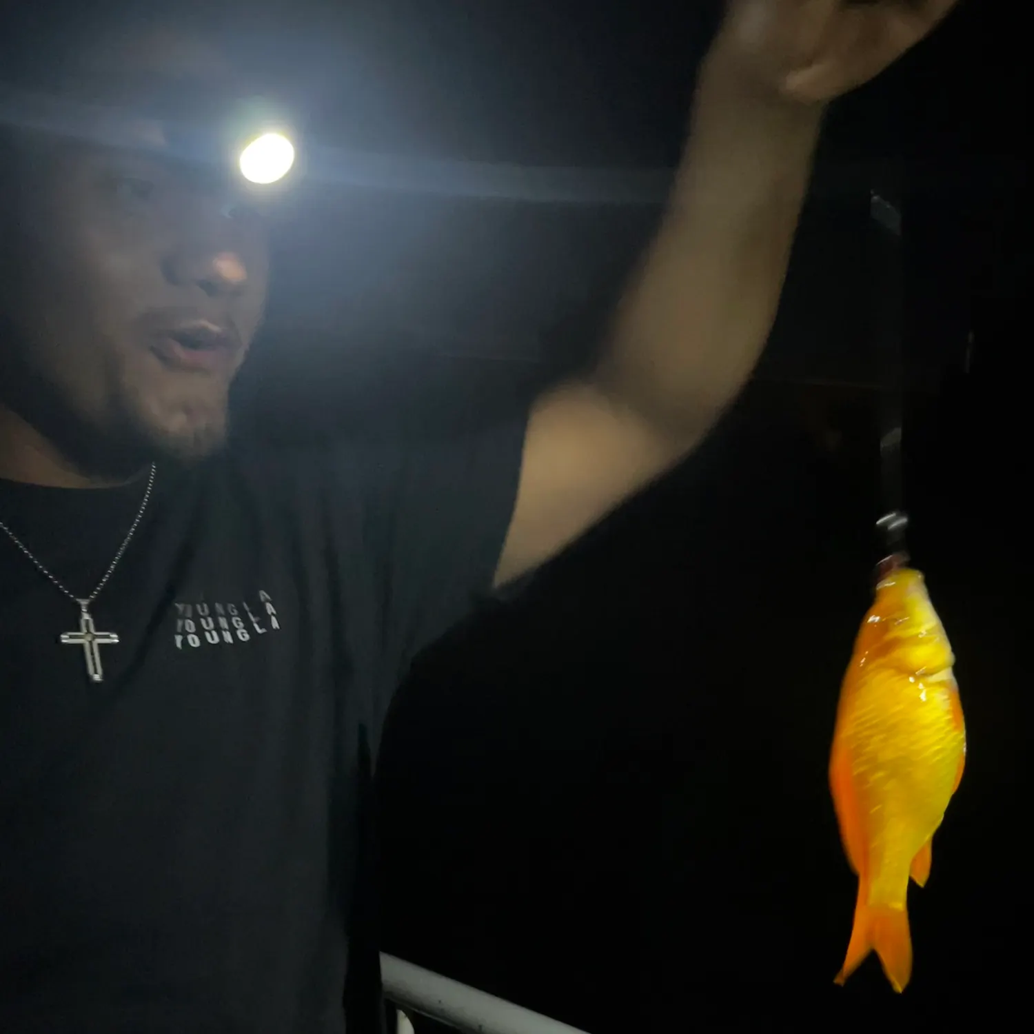 The most recent Goldfish catches on Fishbrain