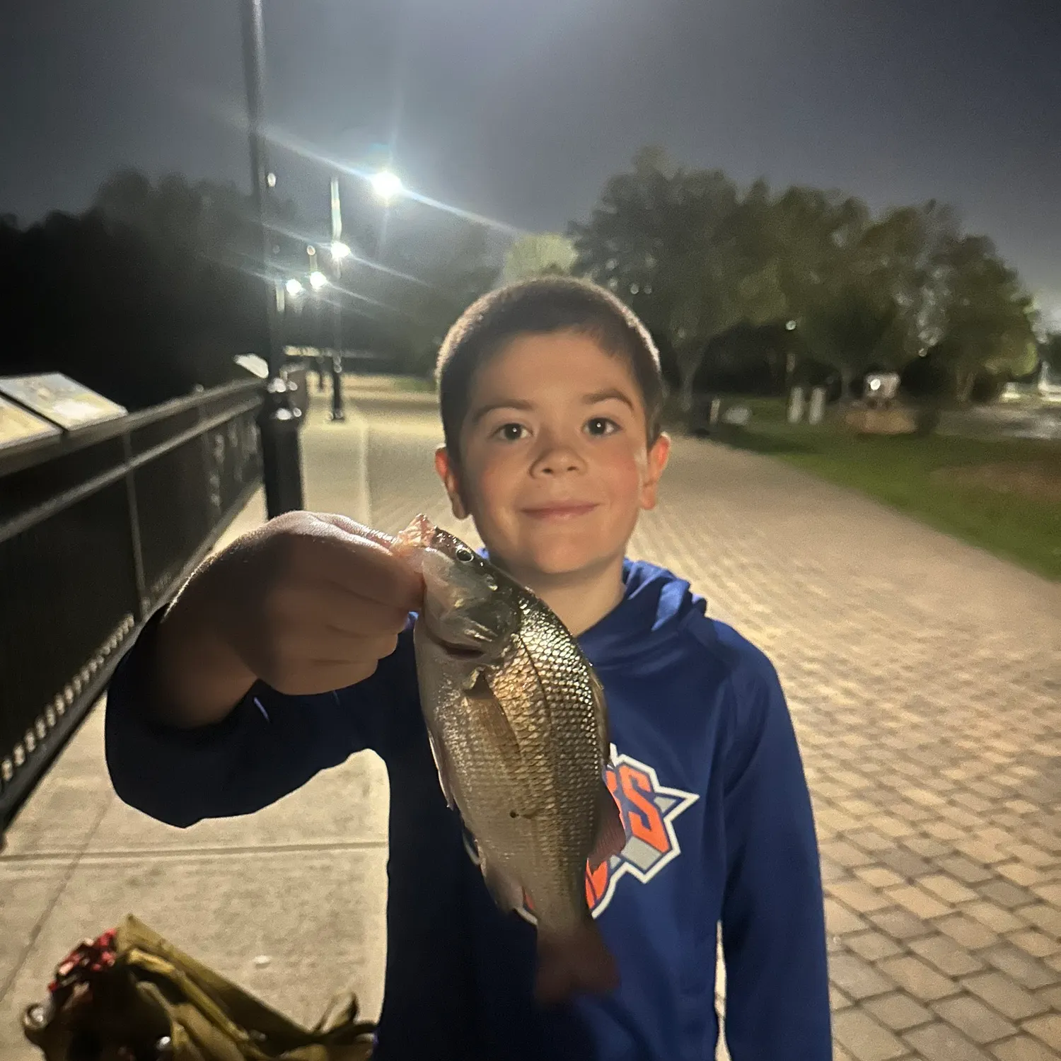 White perch caught on Fishbrain
