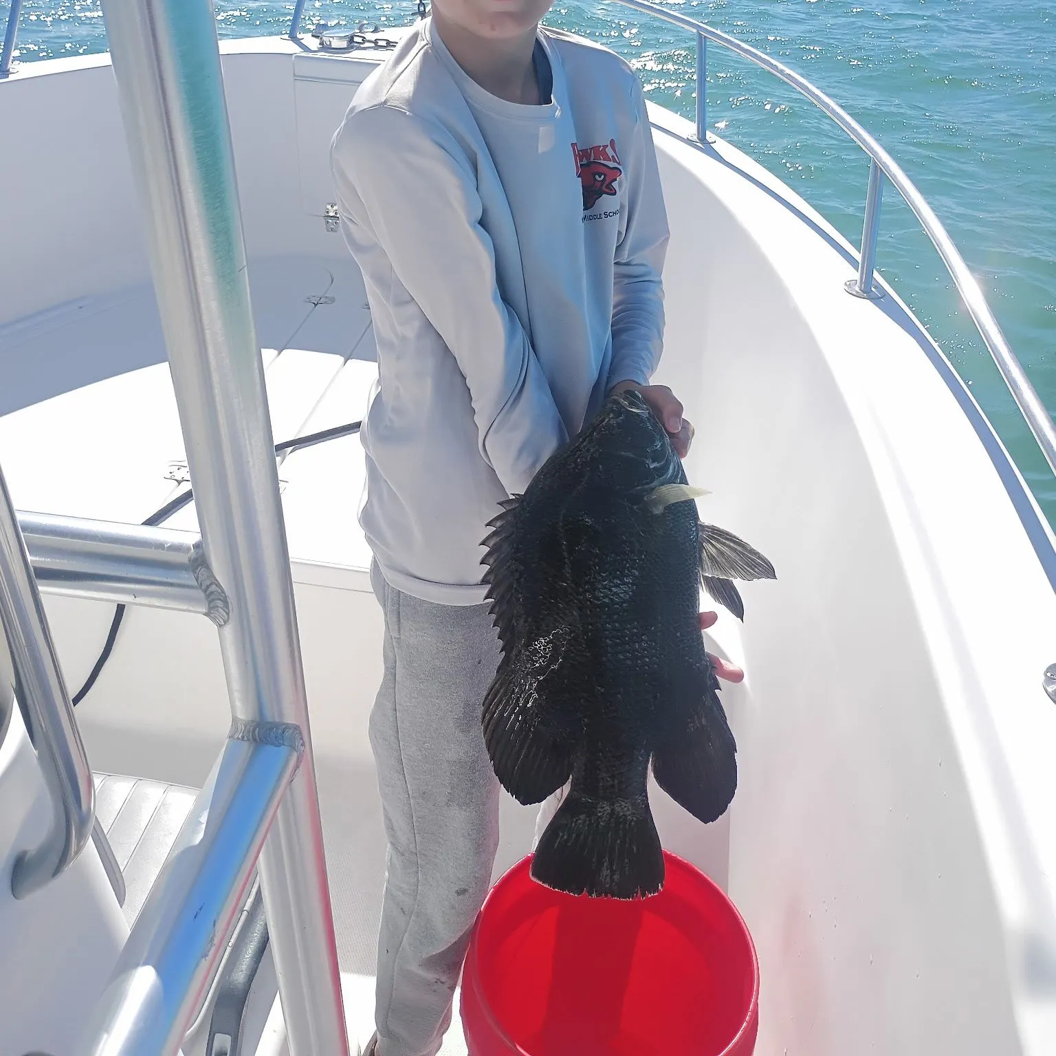 The most recent Atlantic tripletail catches on Fishbrain