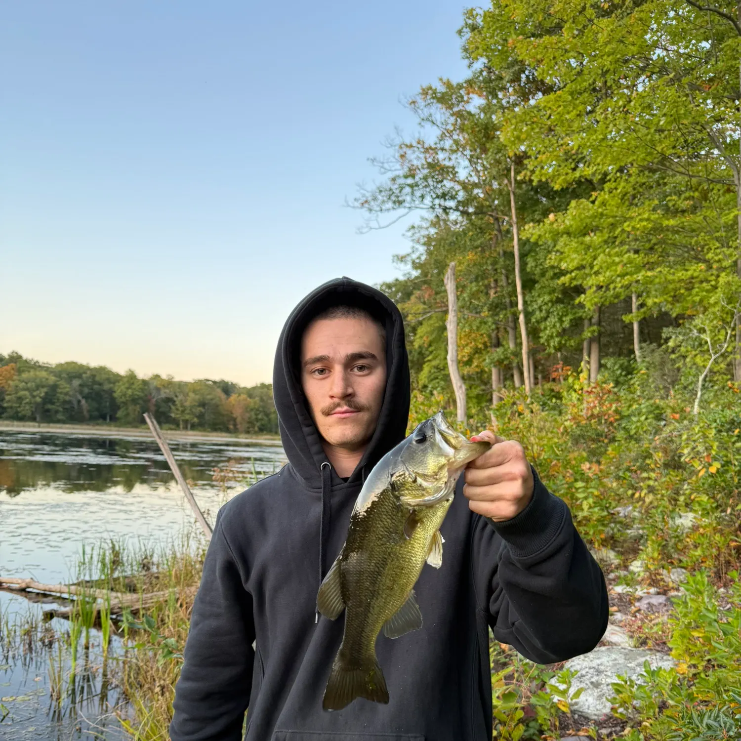 Largemouth bass caught on Fishbrain