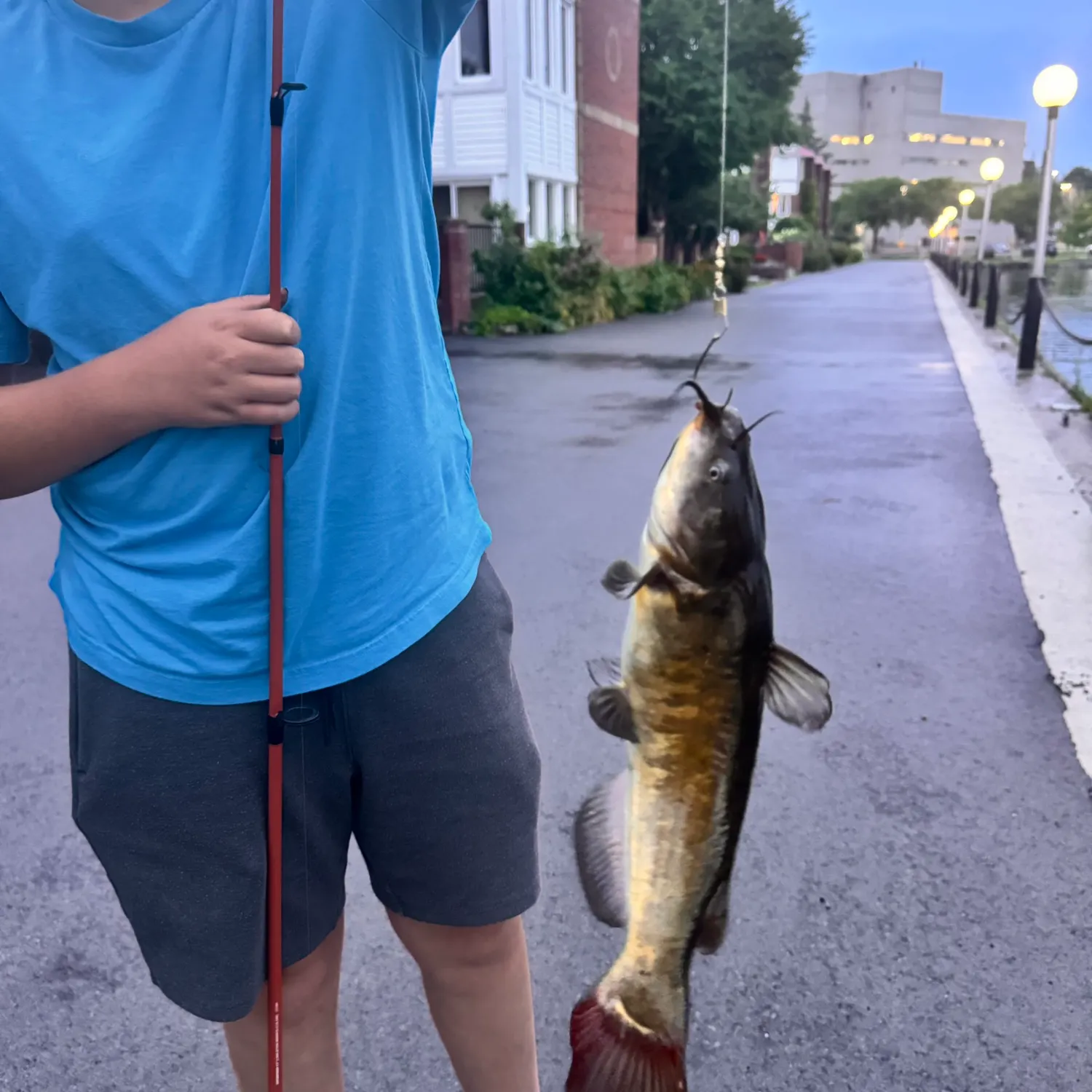 recently logged catches