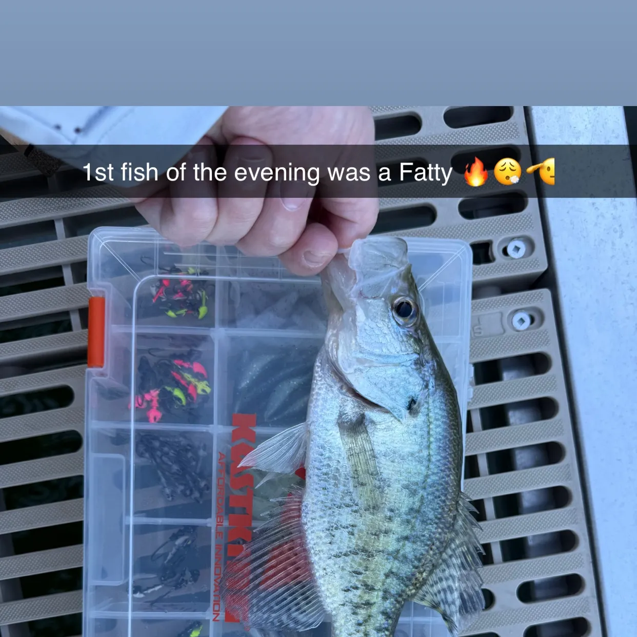 recently logged catches