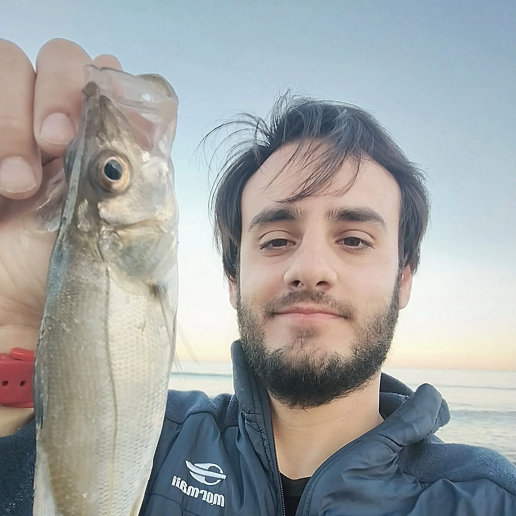 Common snook caught on Fishbrain