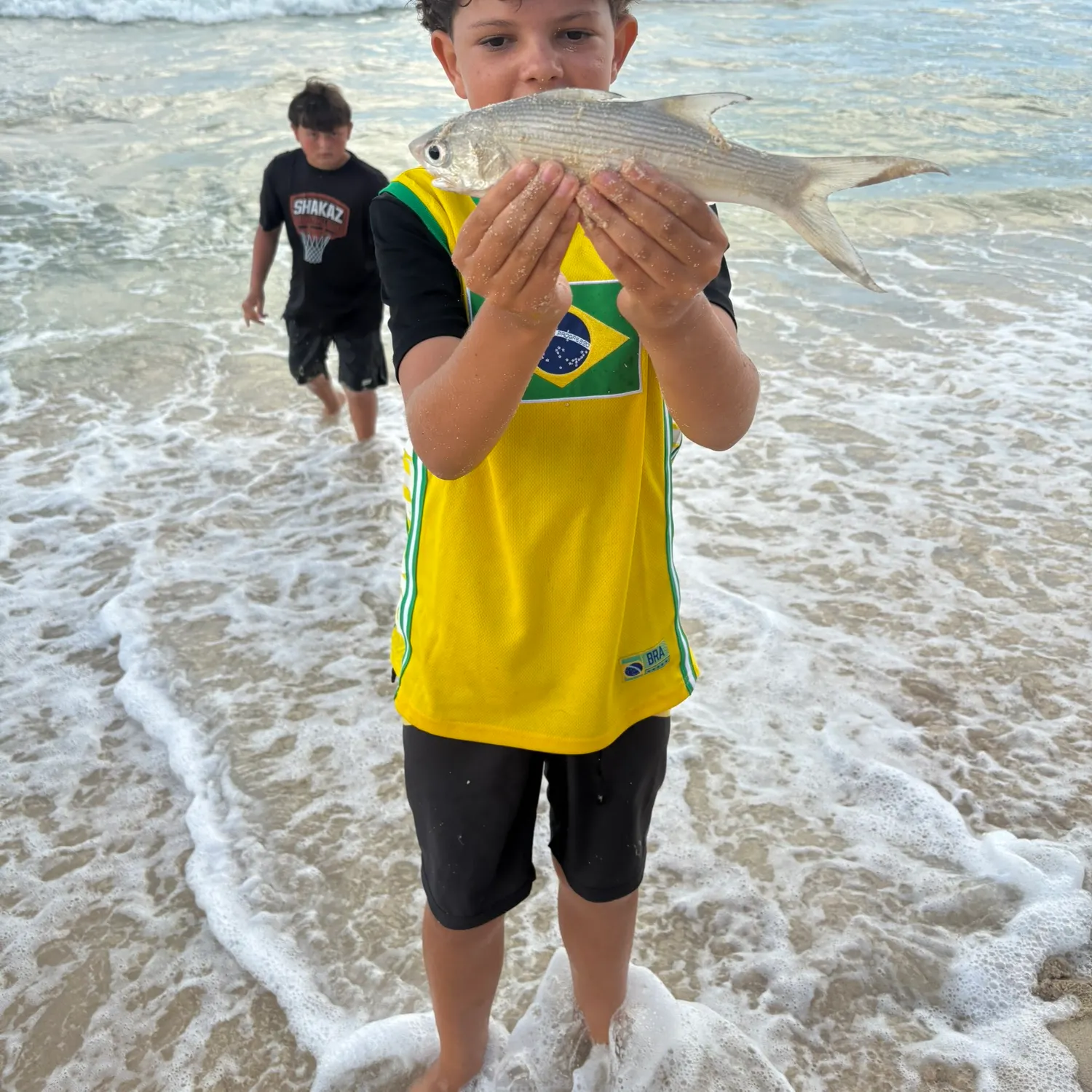 The most recent Sixfinger threadfin catches on Fishbrain