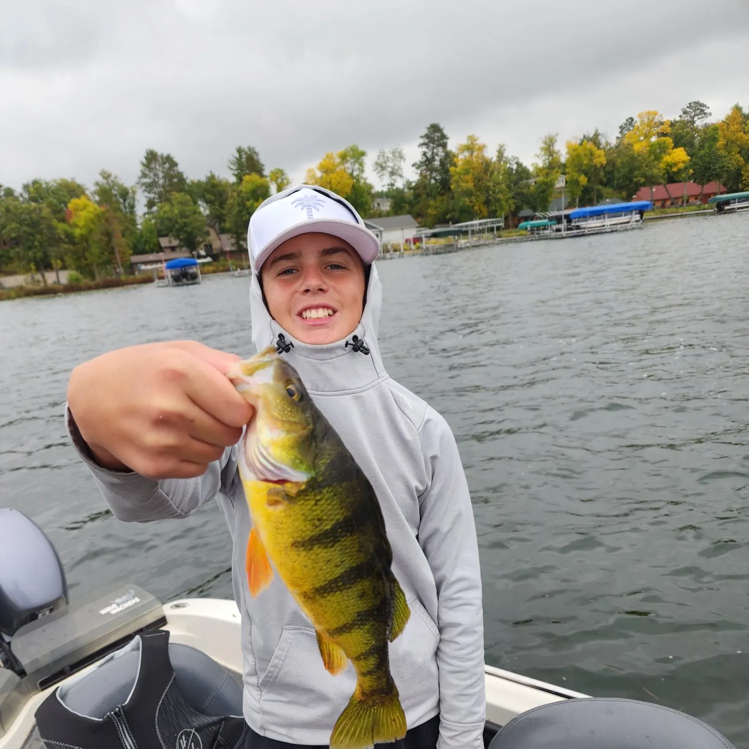 Yellow perch caught on Fishbrain