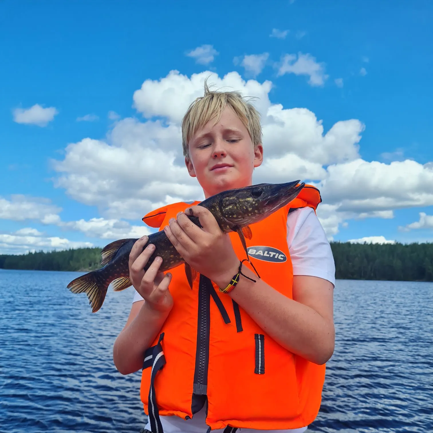 Northern pike caught on Fishbrain