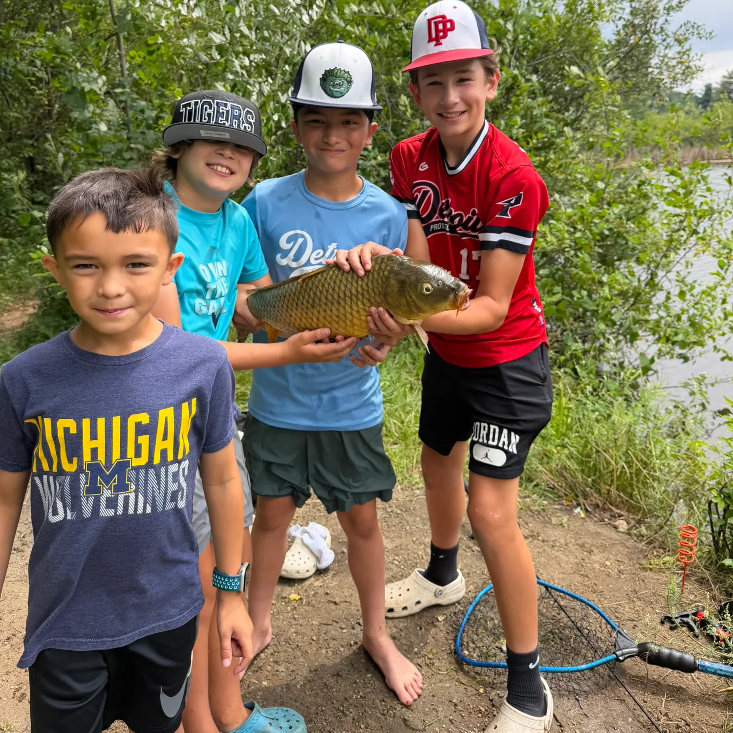 Common carp caught on Fishbrain