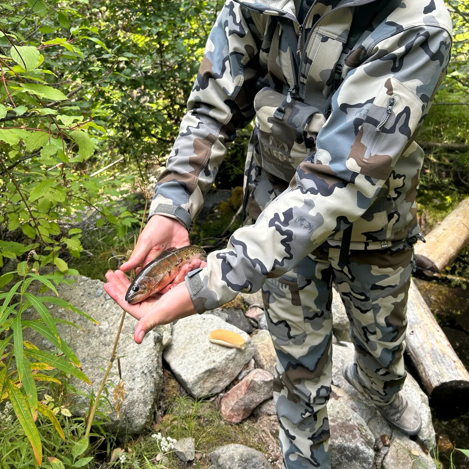 The most recent Westslope cutthroat trout catches on Fishbrain