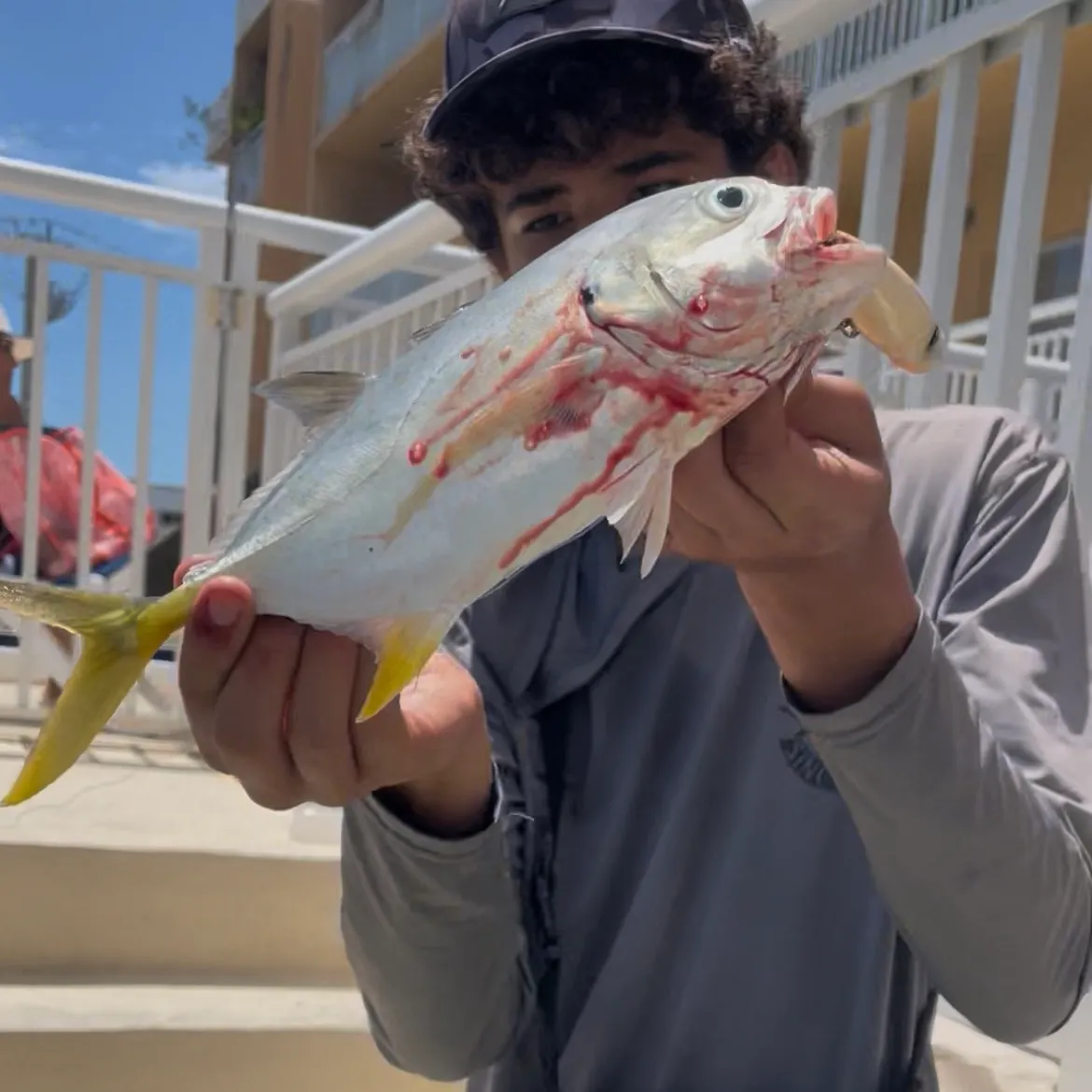 Crevalle jack caught on Fishbrain