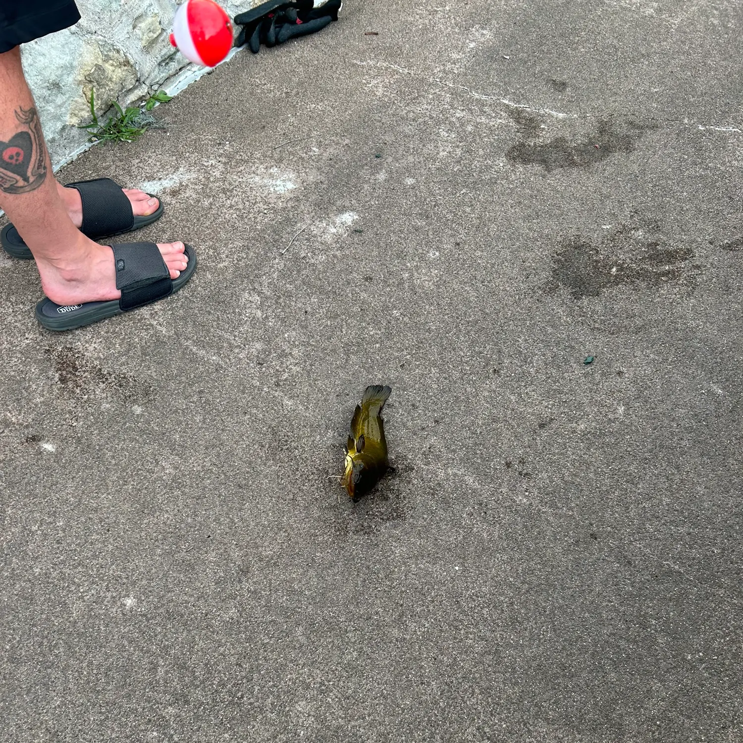 catch