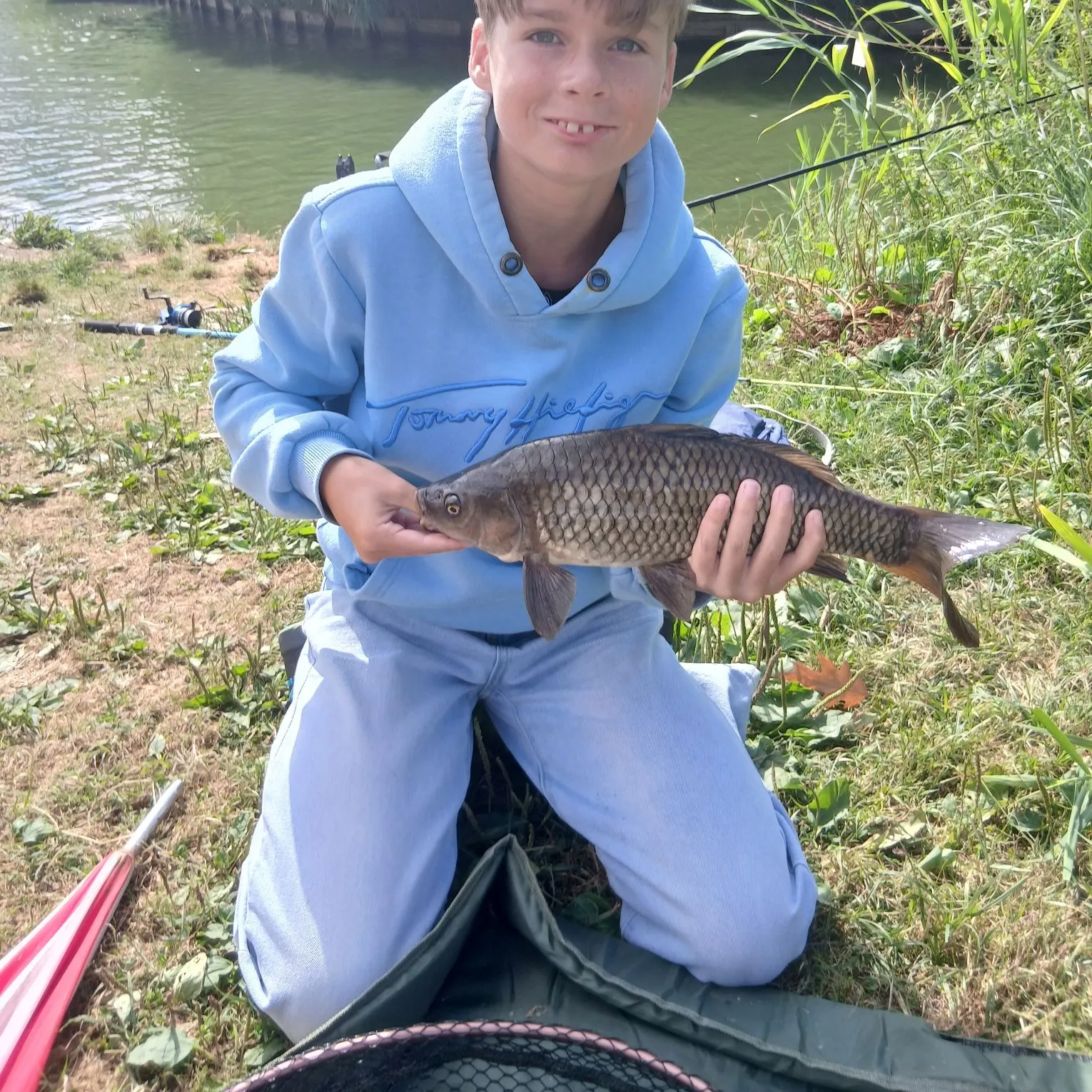 Common carp caught on Fishbrain