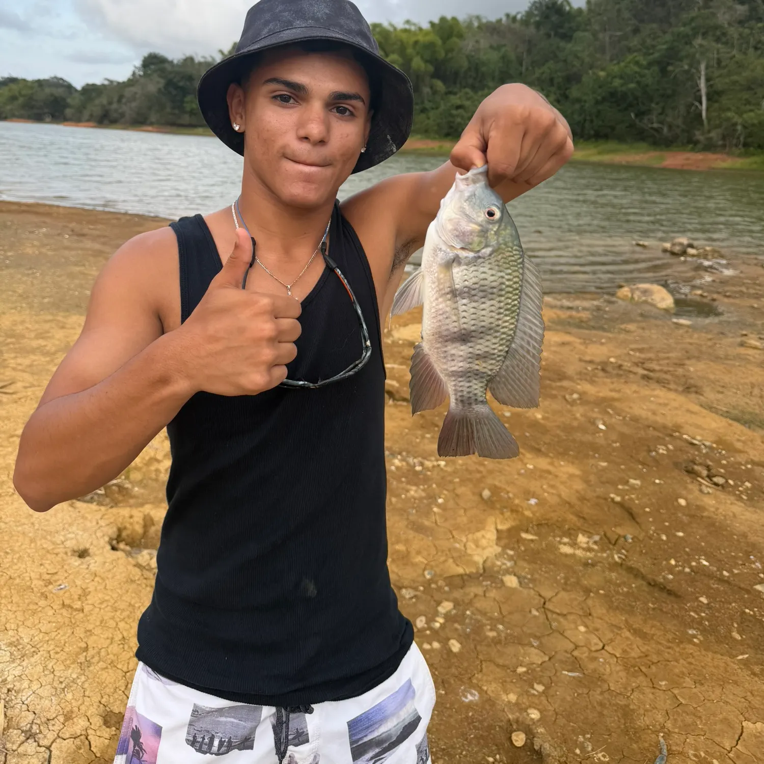Redbreast tilapia caught on Fishbrain