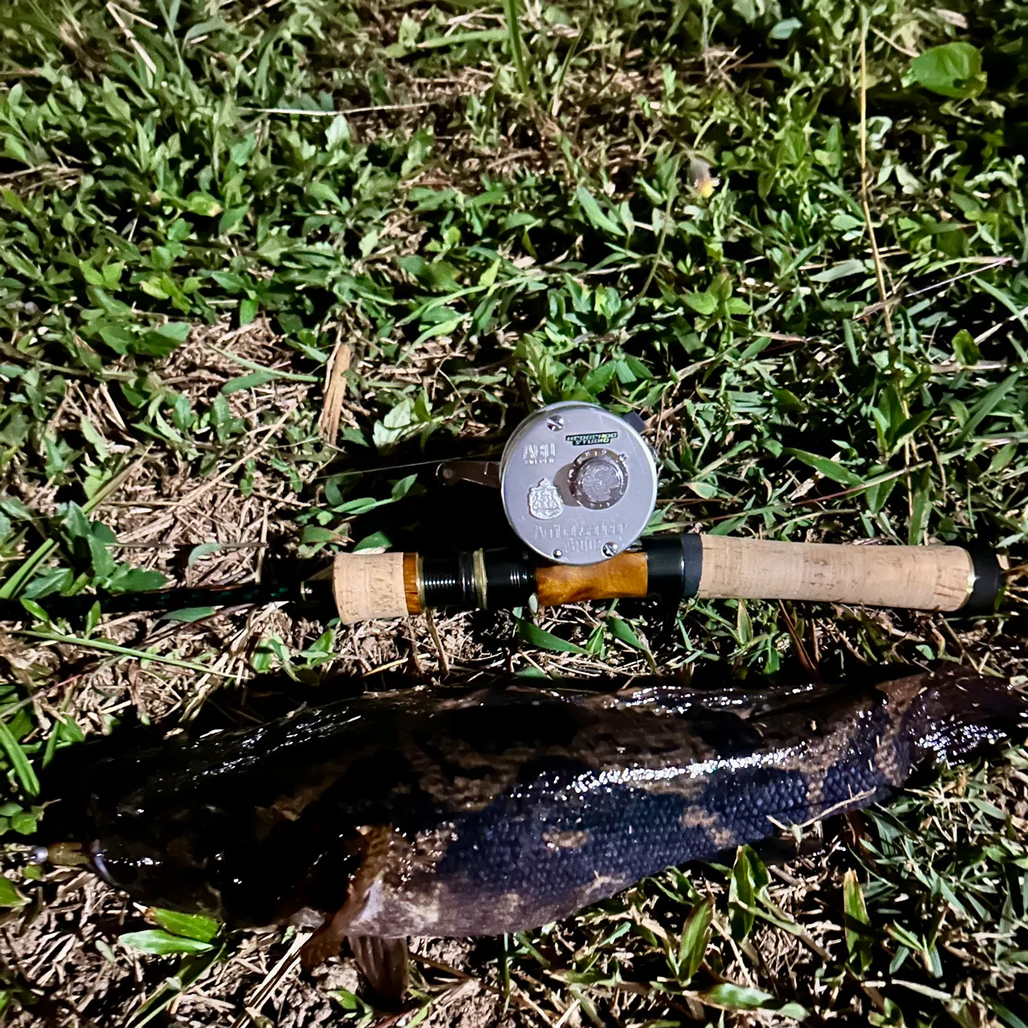 The most recent Marbled goby catches on Fishbrain