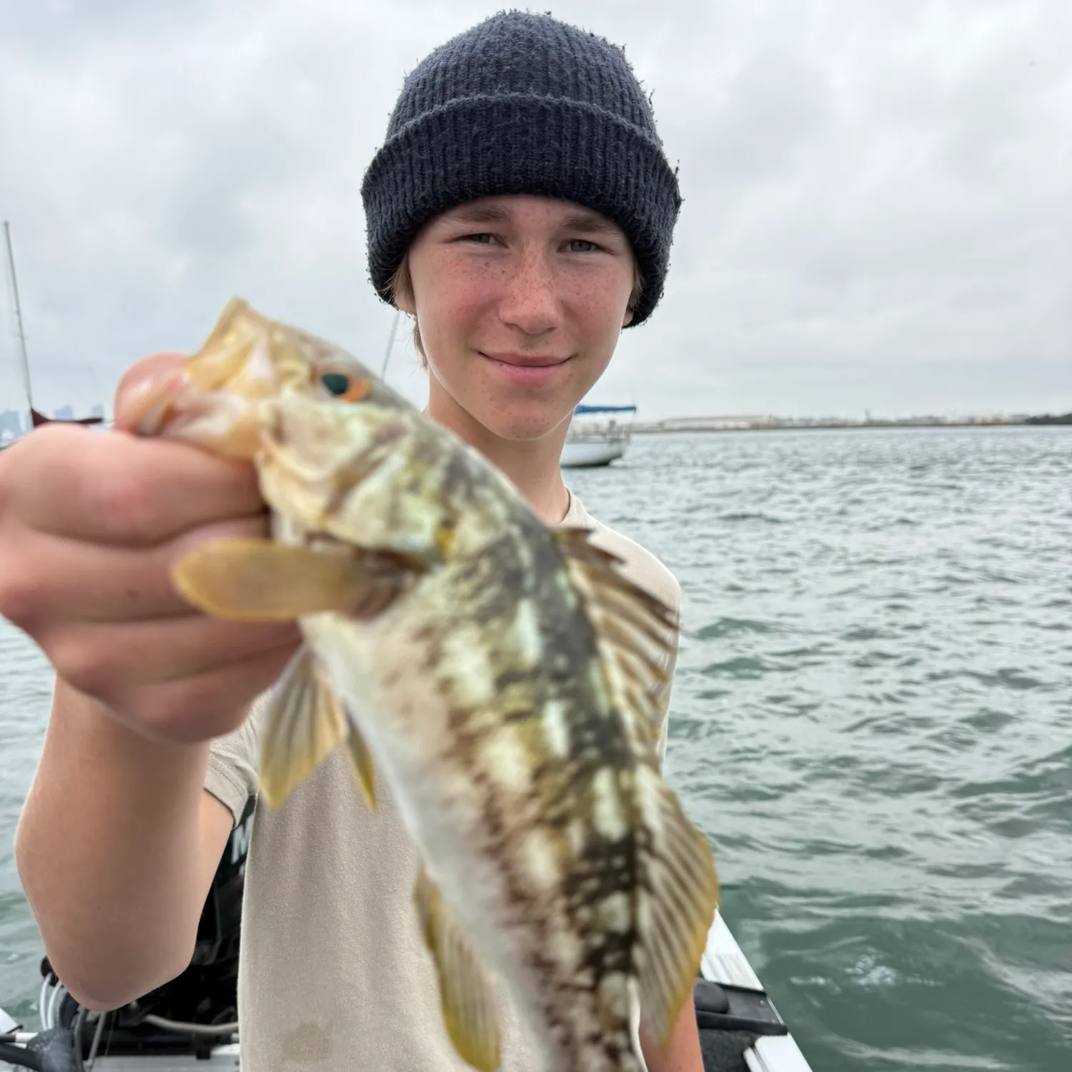The most recent Kelp bass catches on Fishbrain