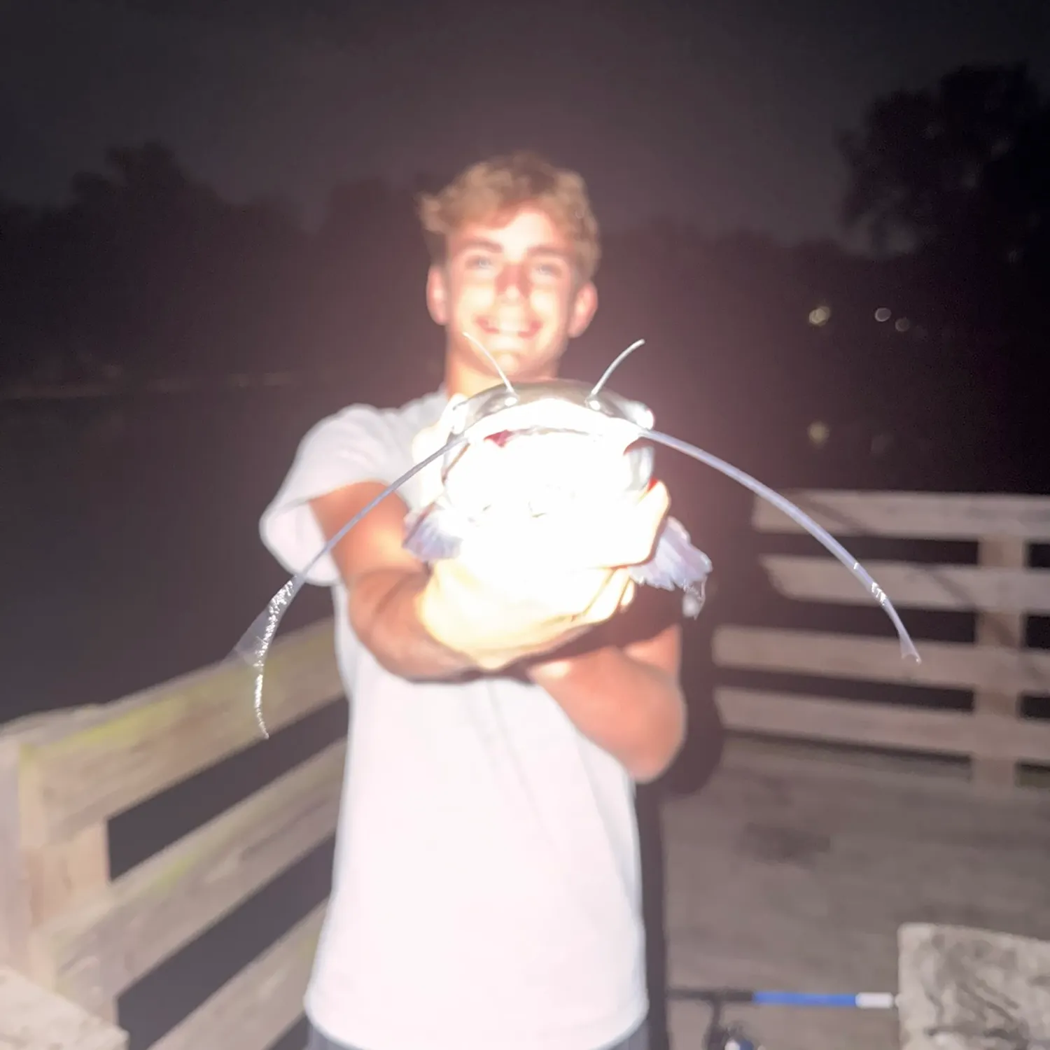 Channel catfish caught on Fishbrain