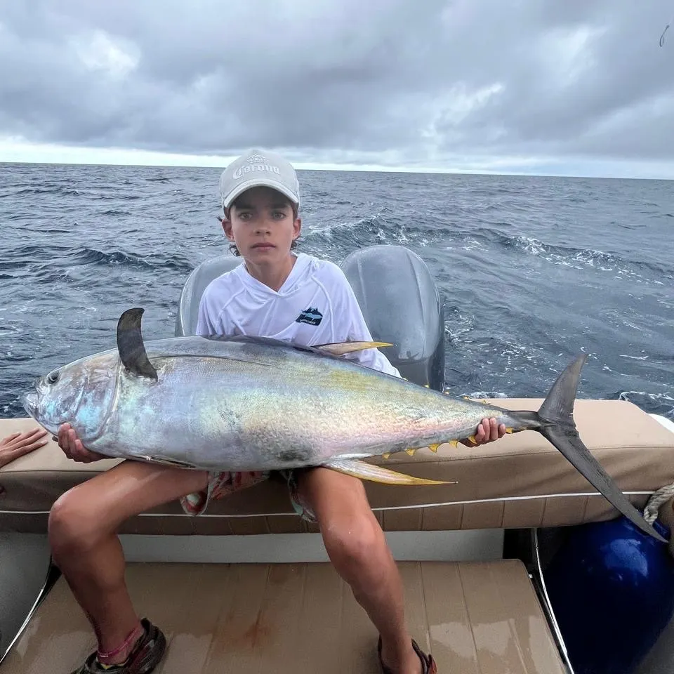 The most recent Atlantic bluefin tuna catches on Fishbrain