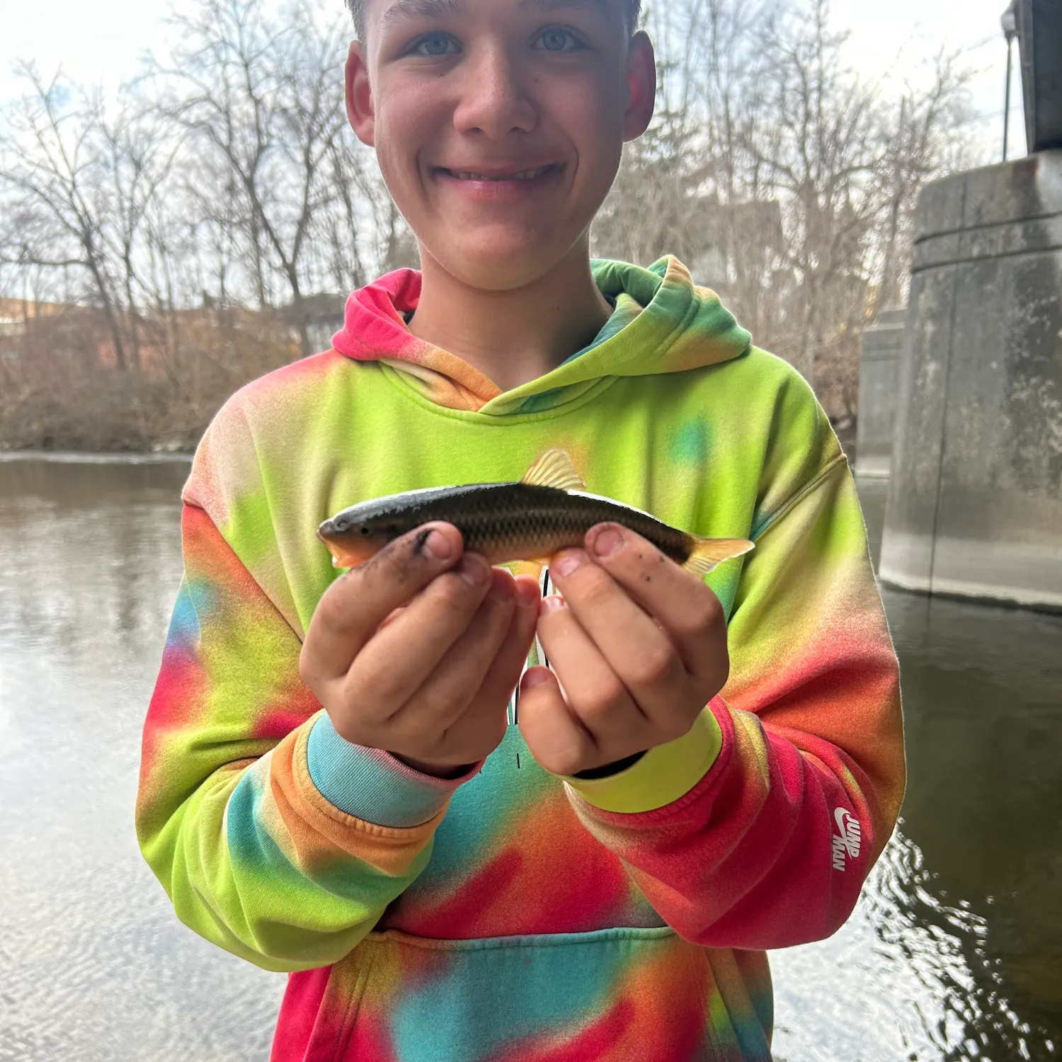 The most recent Hornyhead chub catches on Fishbrain