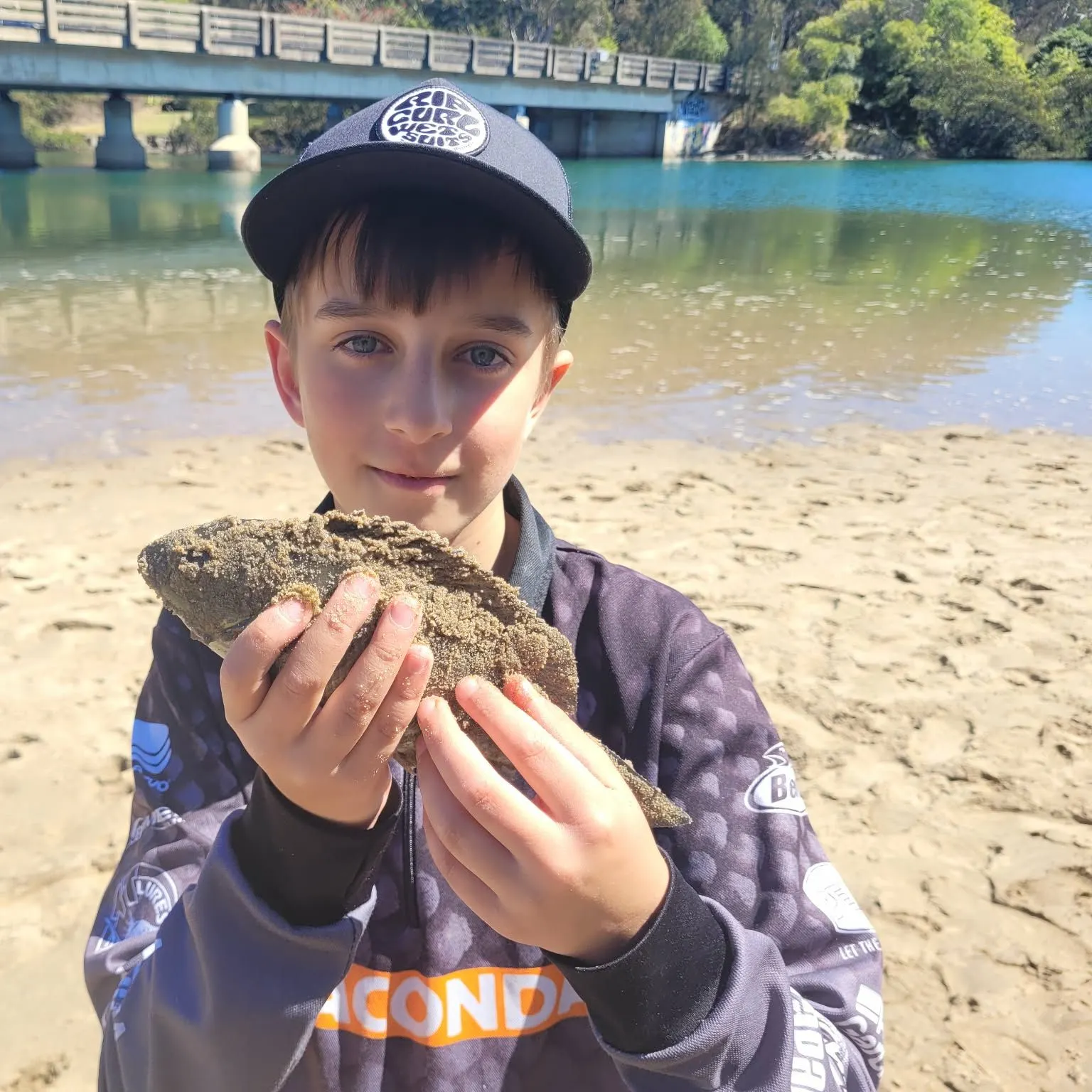 Luderick caught on Fishbrain