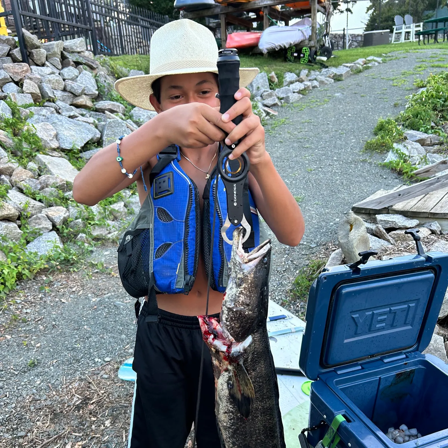 The most recent Northern snakehead catches on Fishbrain