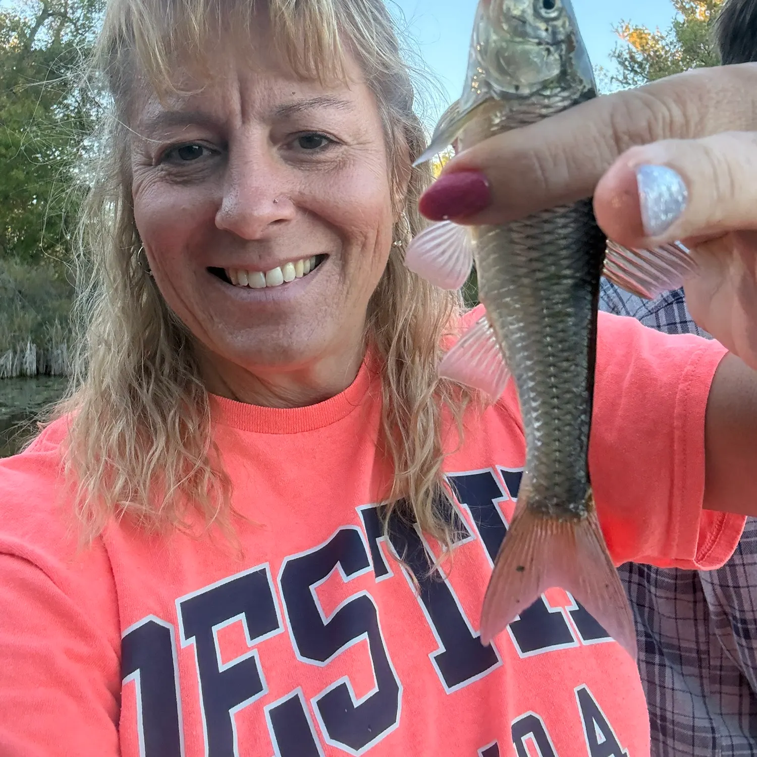 Common shiner caught on Fishbrain