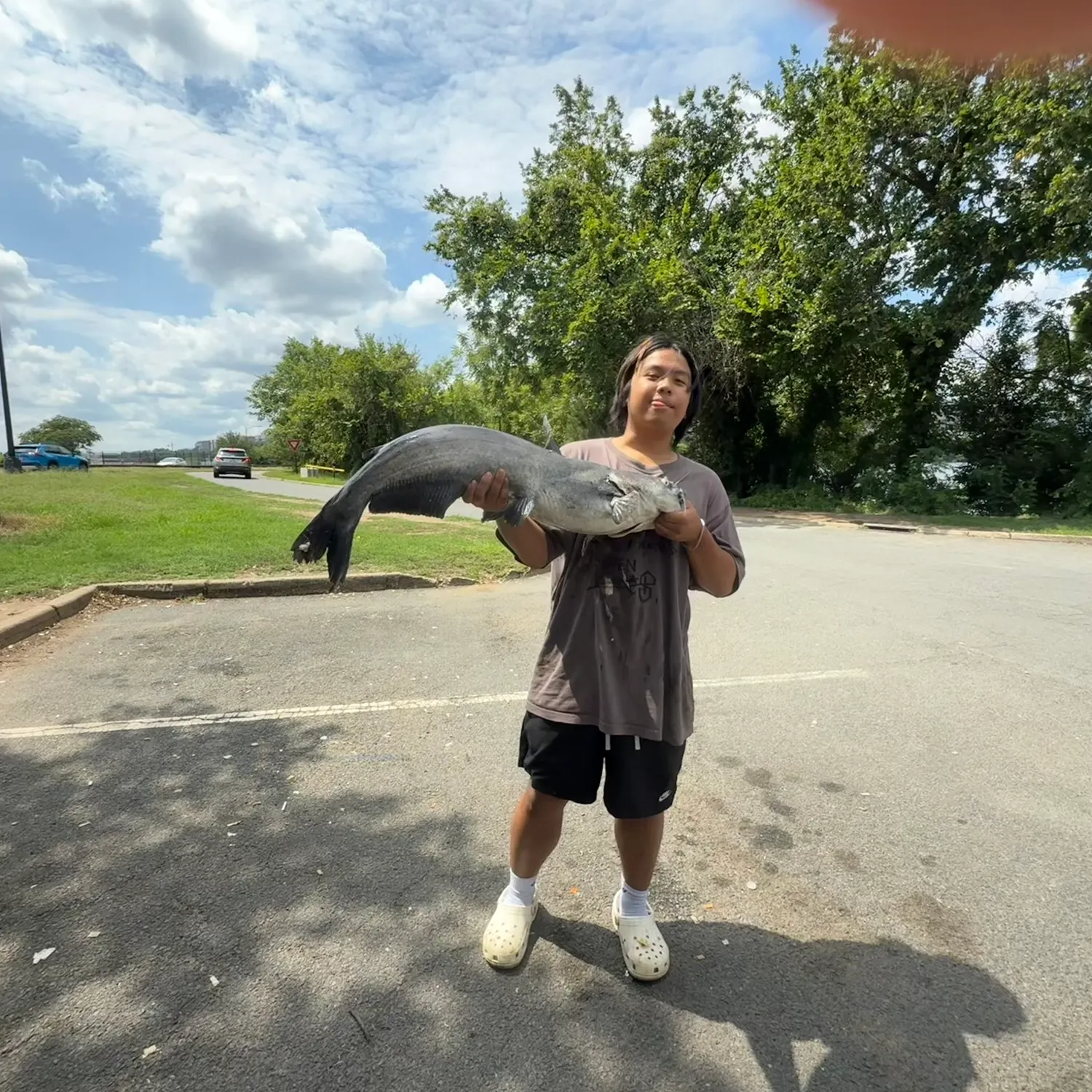 Blue catfish caught on Fishbrain