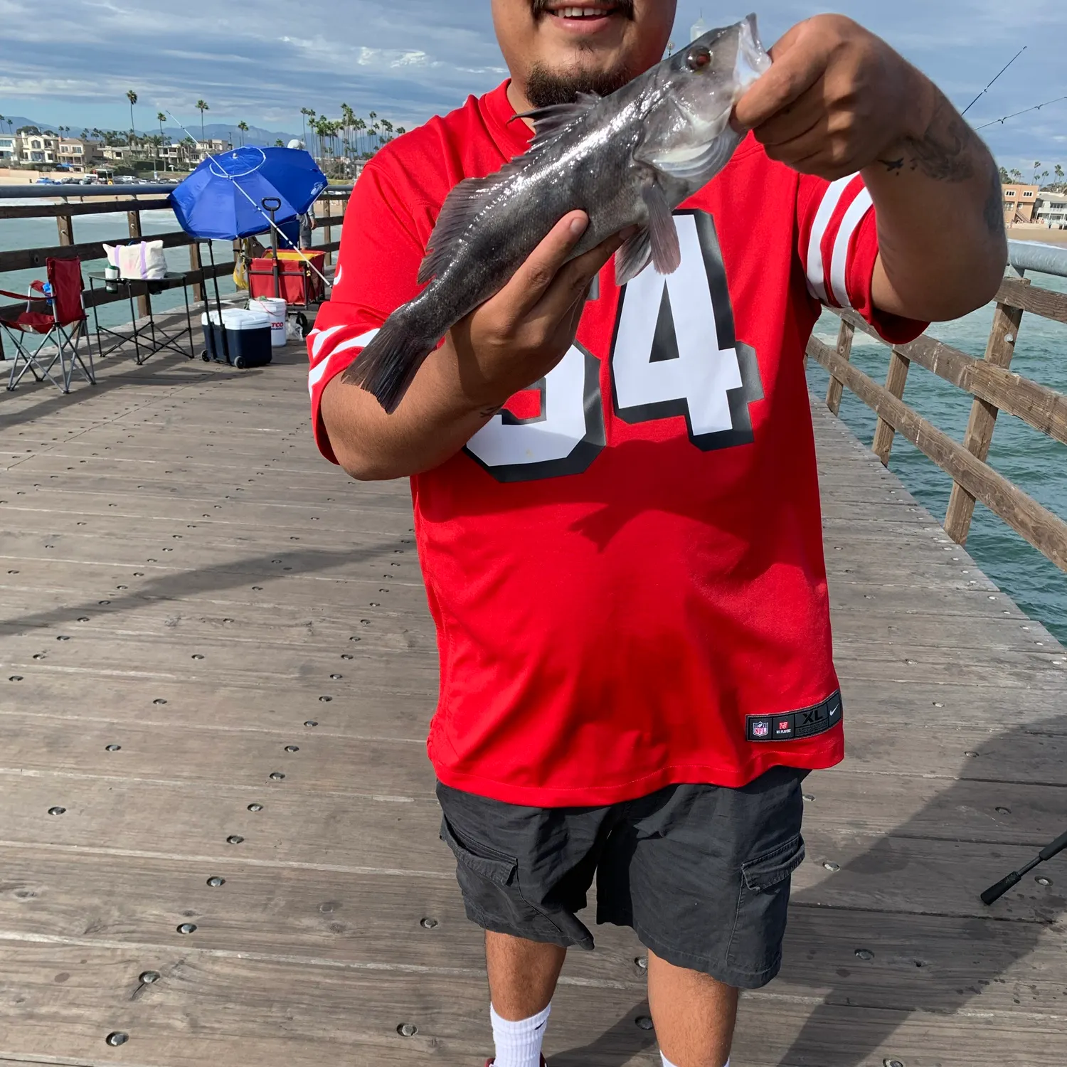 Barred sand bass caught on Fishbrain