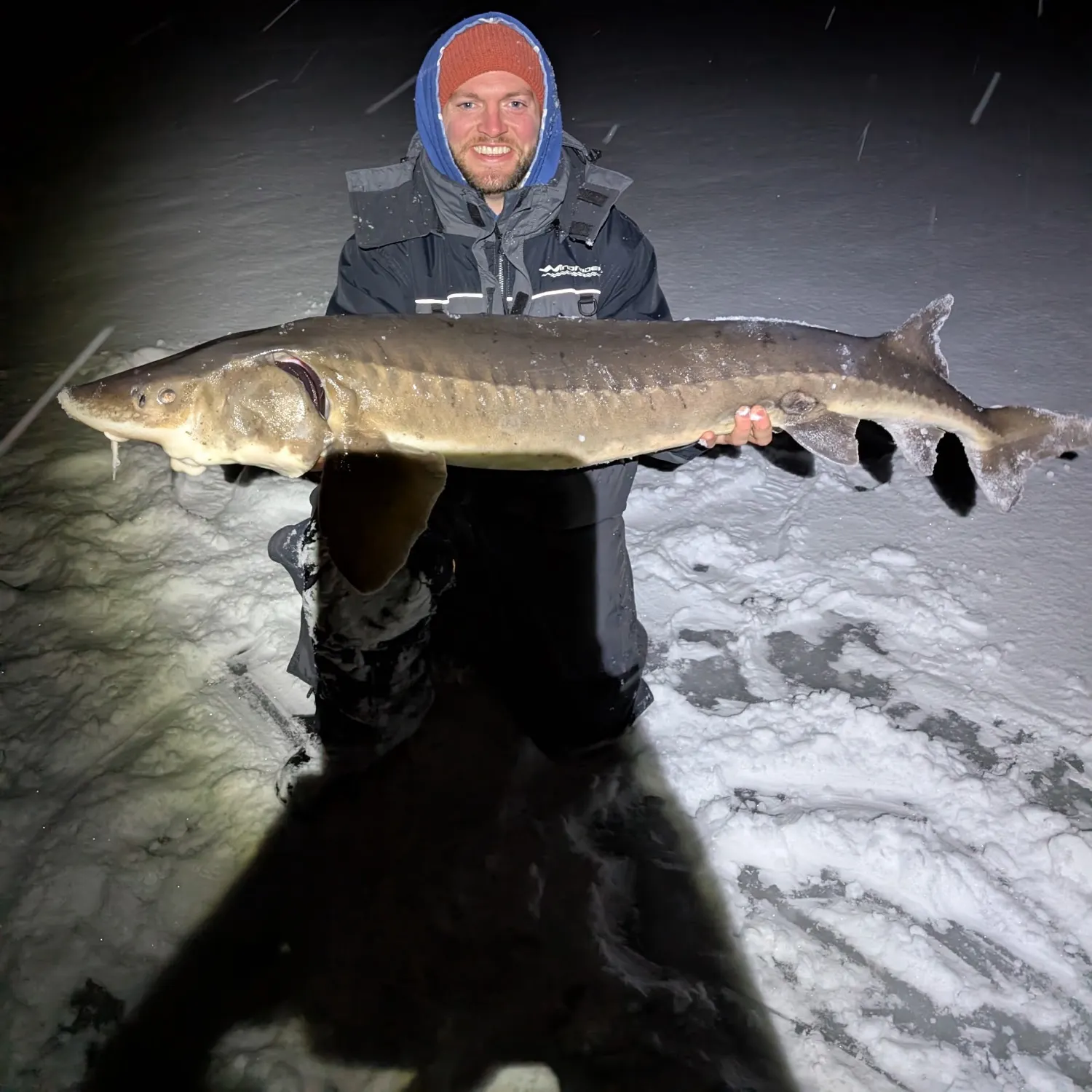 The most recent Lake sturgeon catches on Fishbrain