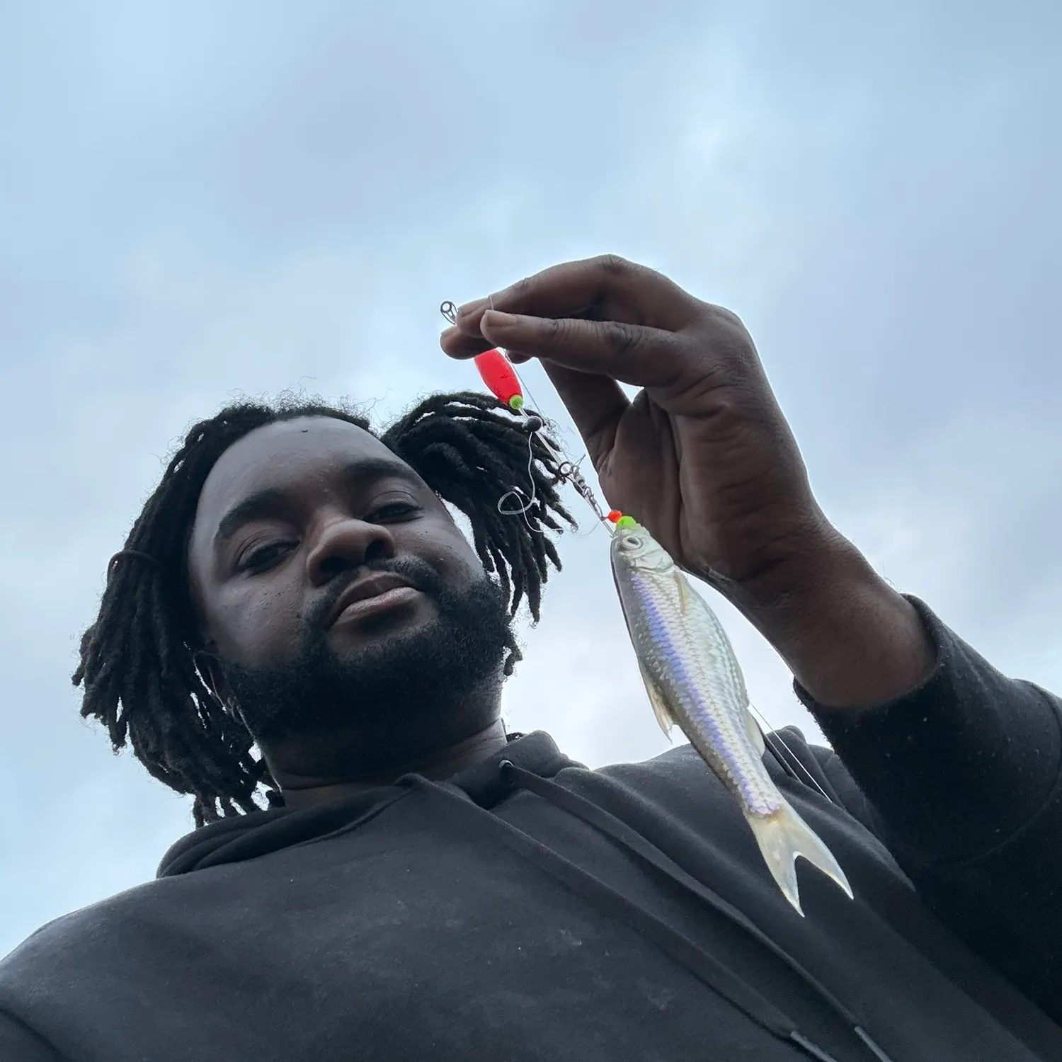 The most recent Silver shiner catches on Fishbrain