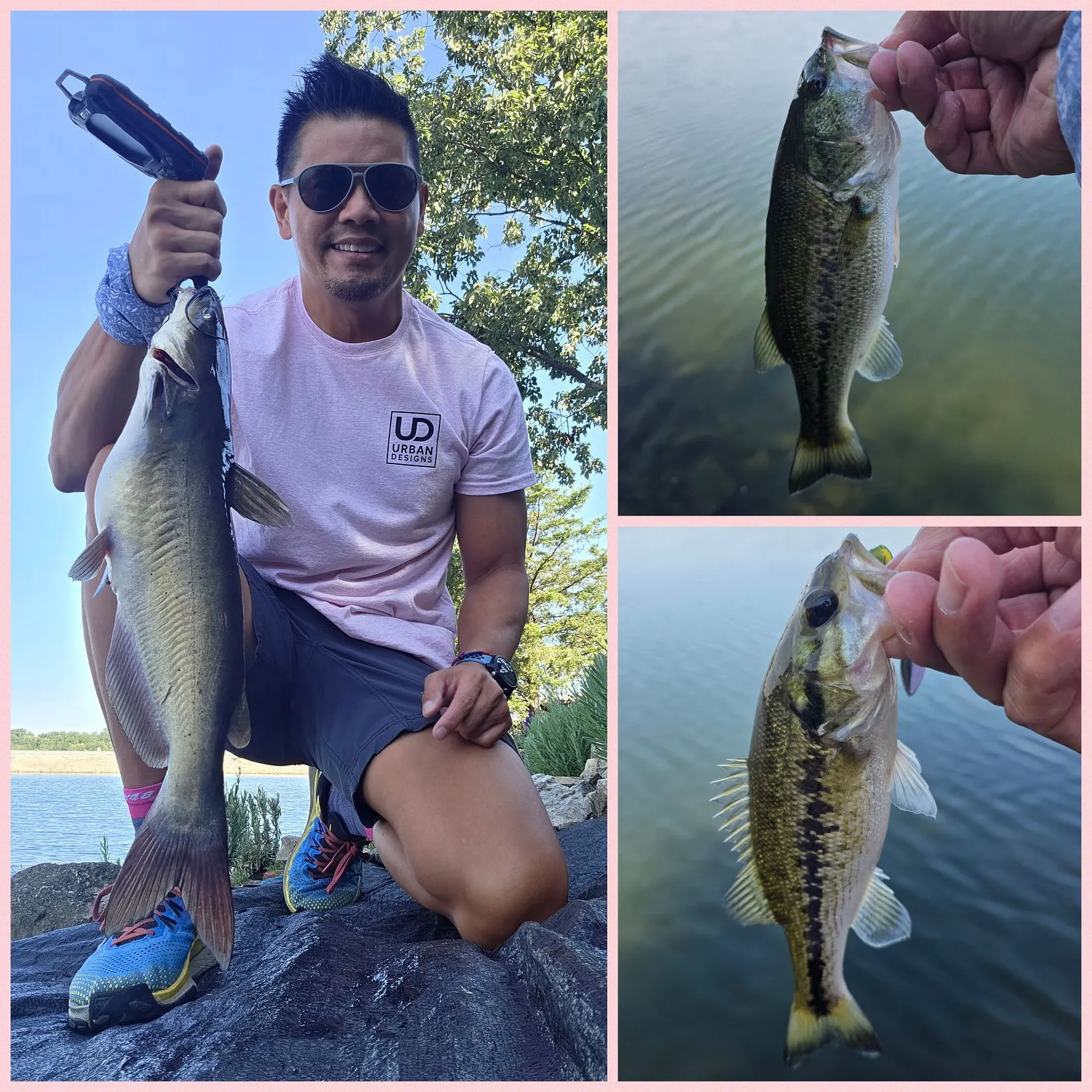 Channel catfish caught on Fishbrain