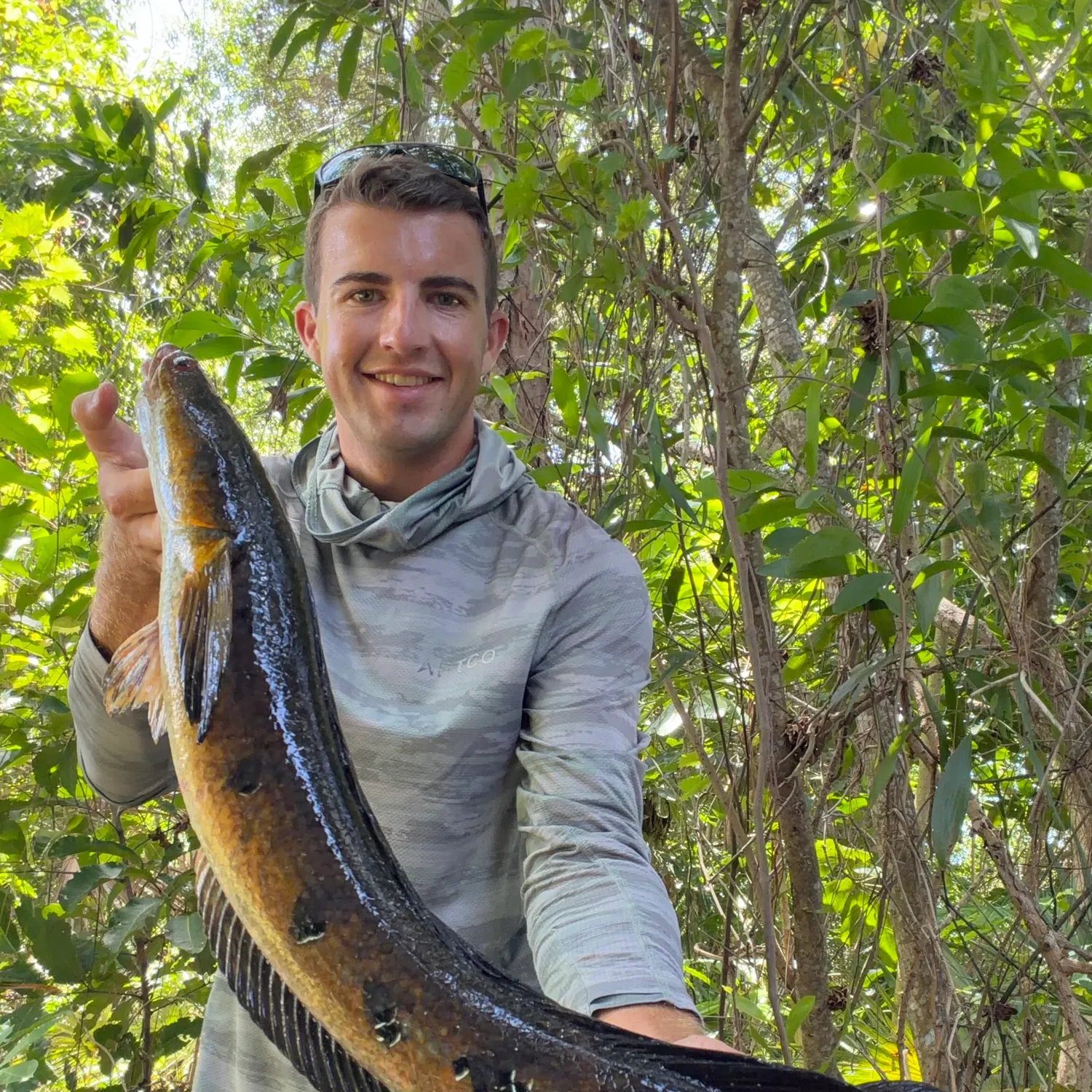The most recent Bullseye snakehead catches on Fishbrain