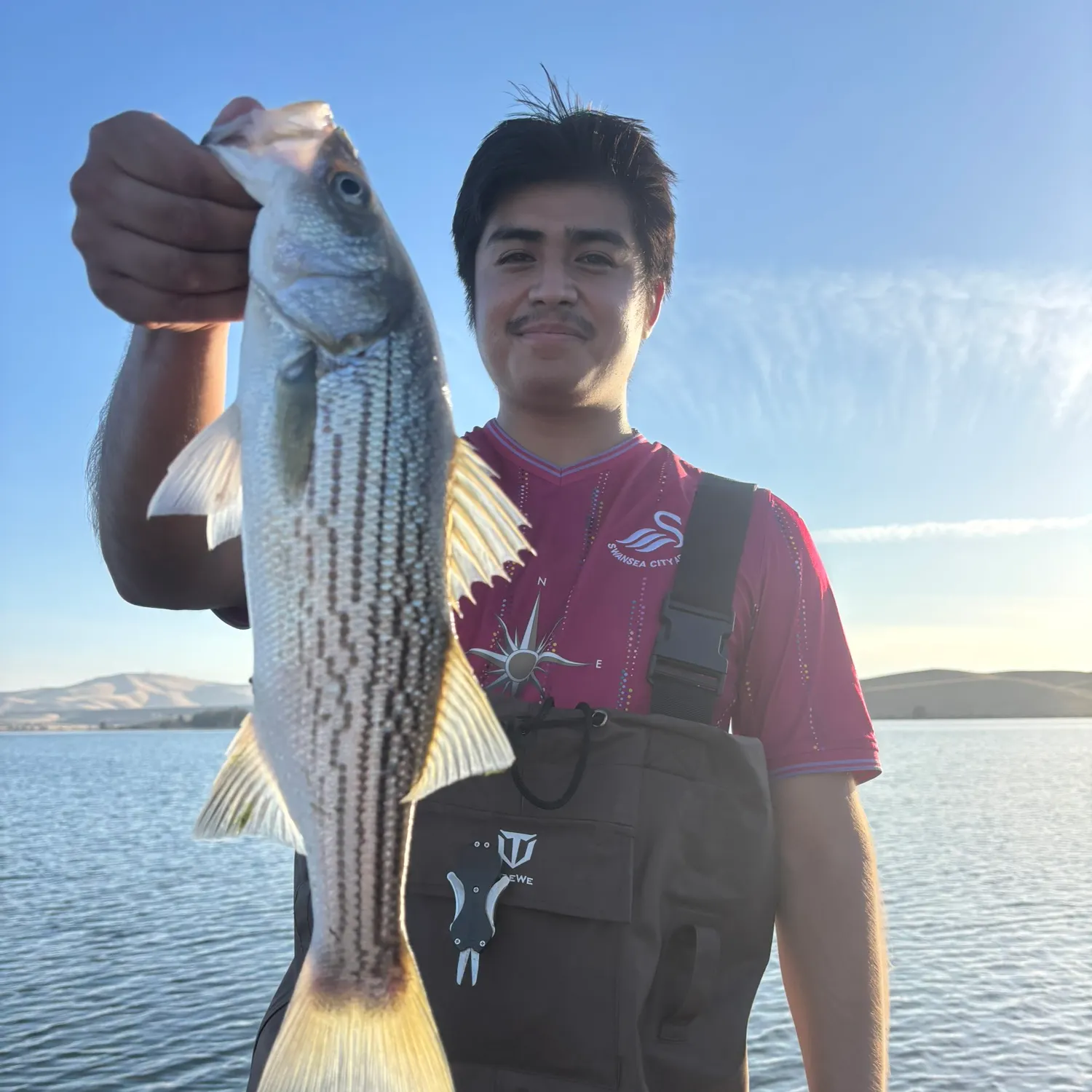 Striped bass caught on Fishbrain