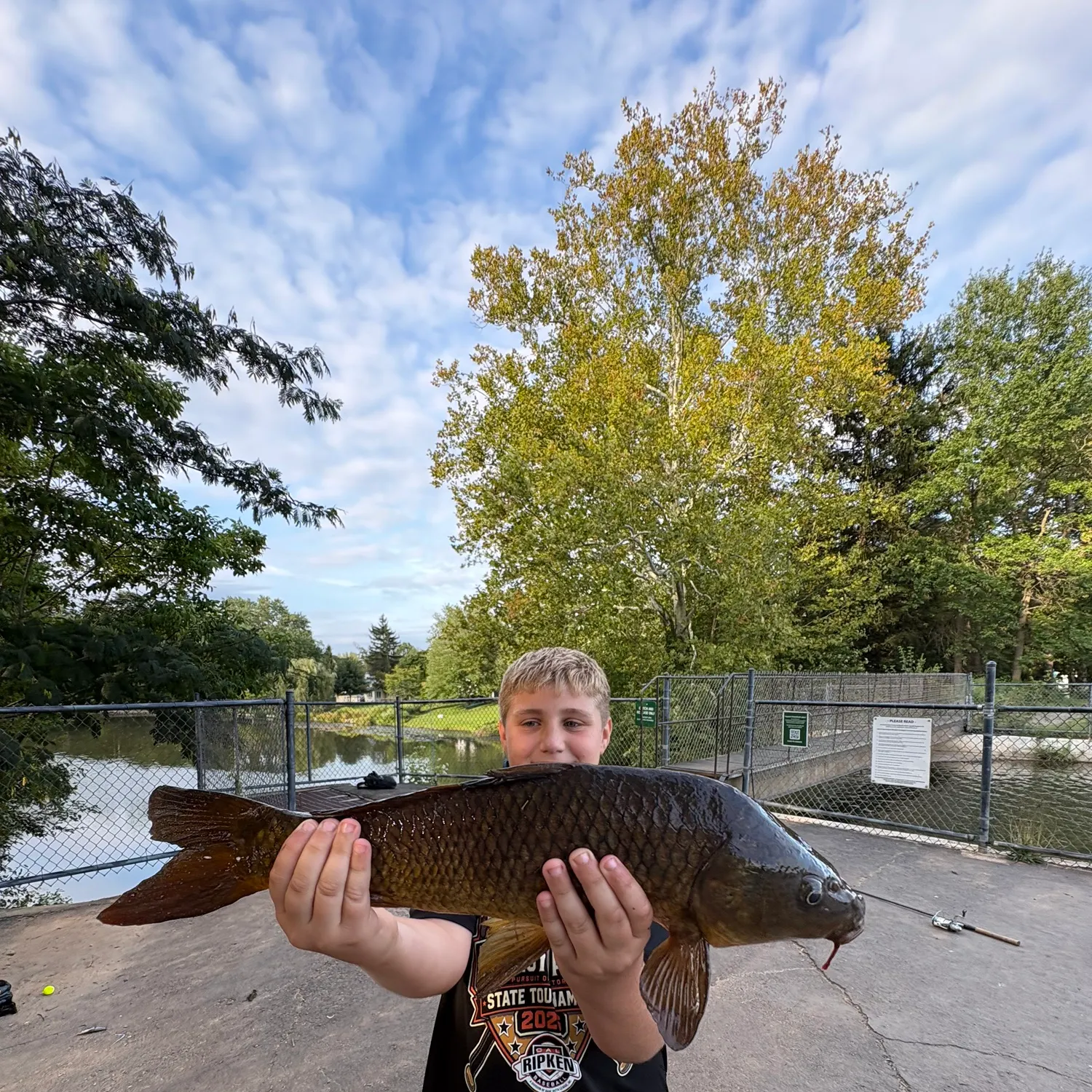 Common carp caught on Fishbrain