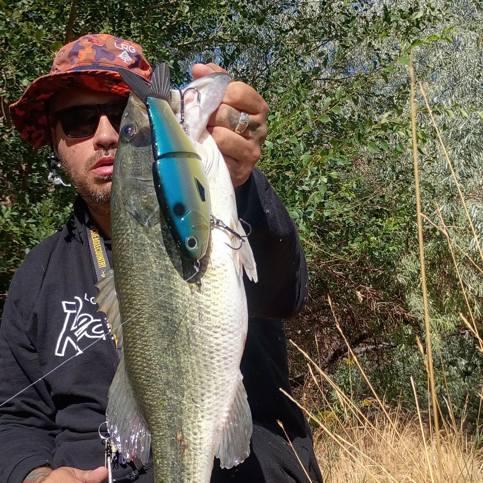 Largemouth bass caught on Fishbrain