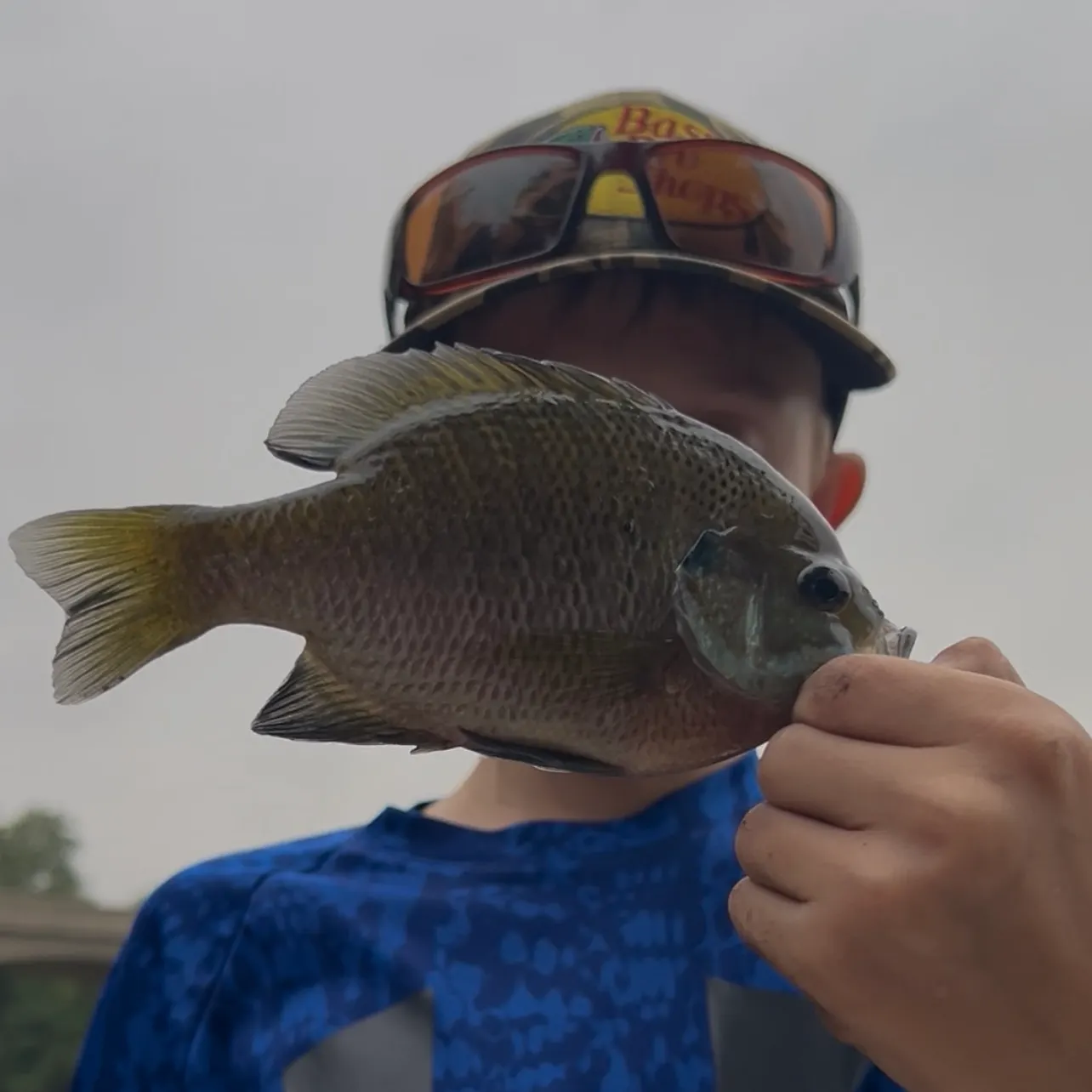 Bluegill caught on Fishbrain