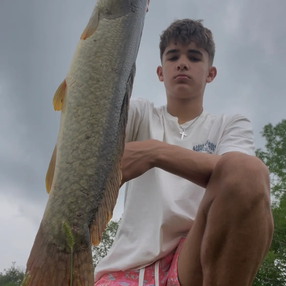The most recent Eyetail bowfin catches on Fishbrain