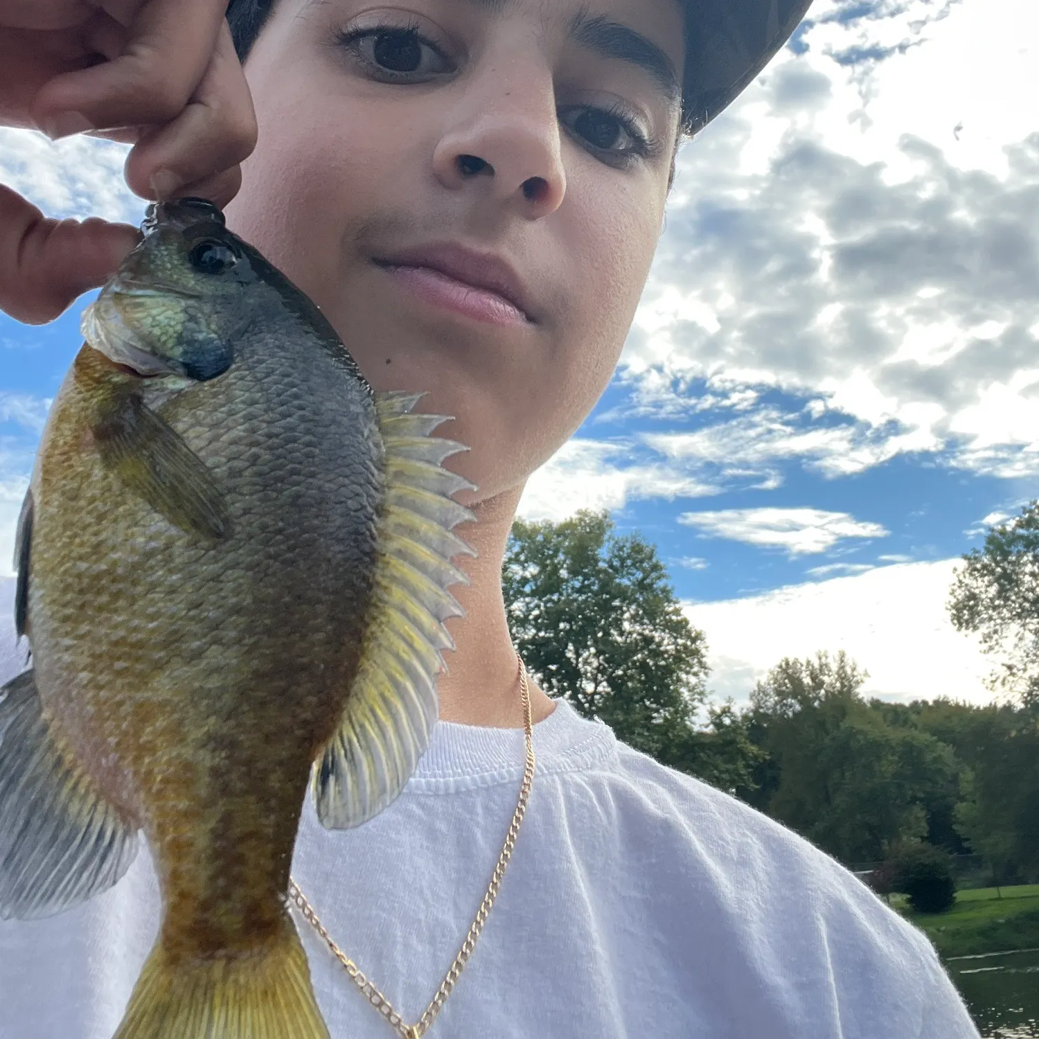 Bluegill caught on Fishbrain