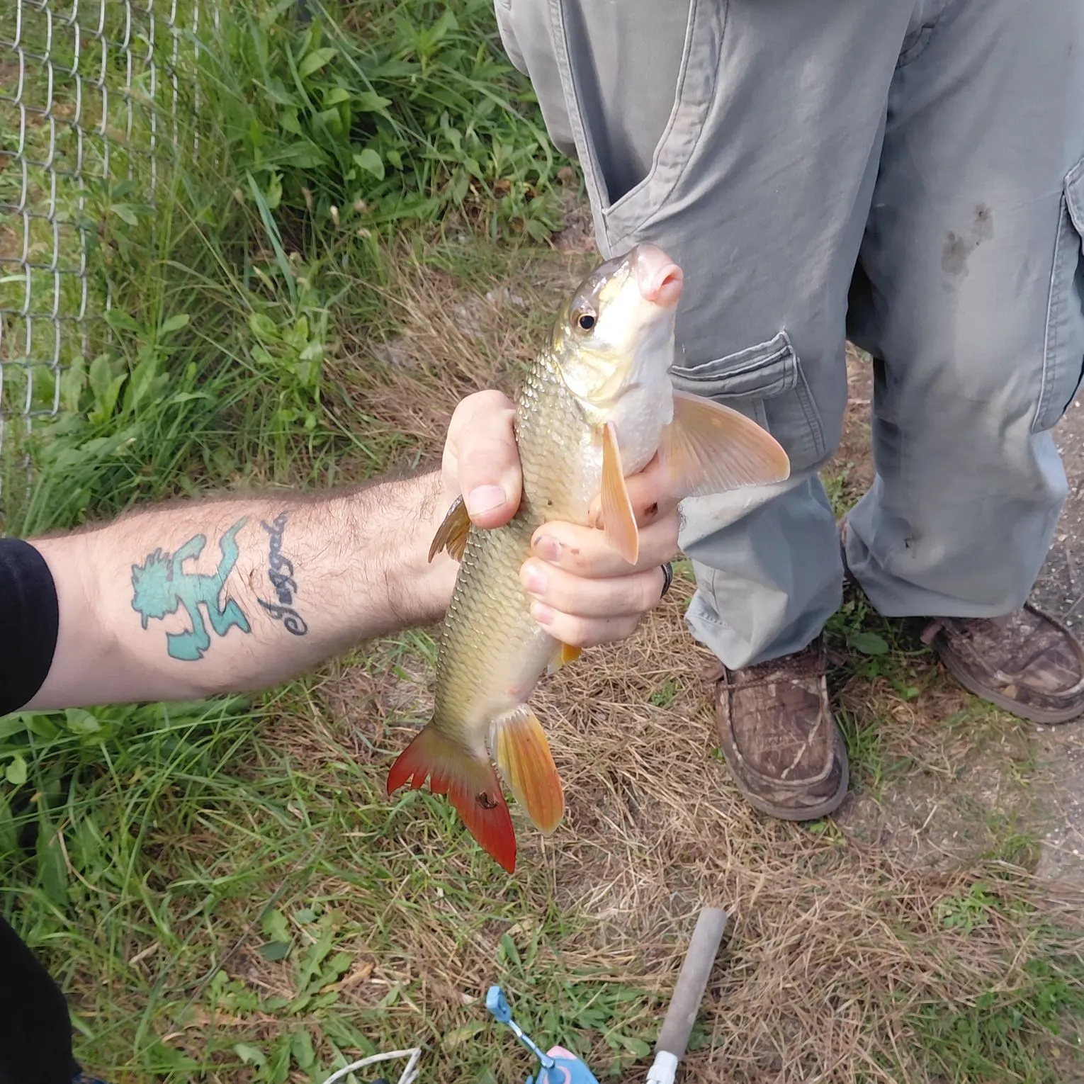 The most recent Smallmouth redhorse catches on Fishbrain