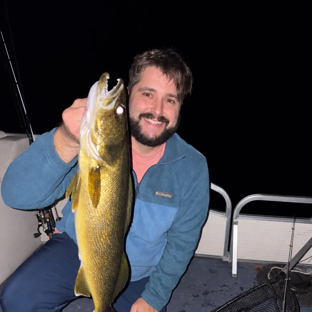 Walleye caught on Fishbrain