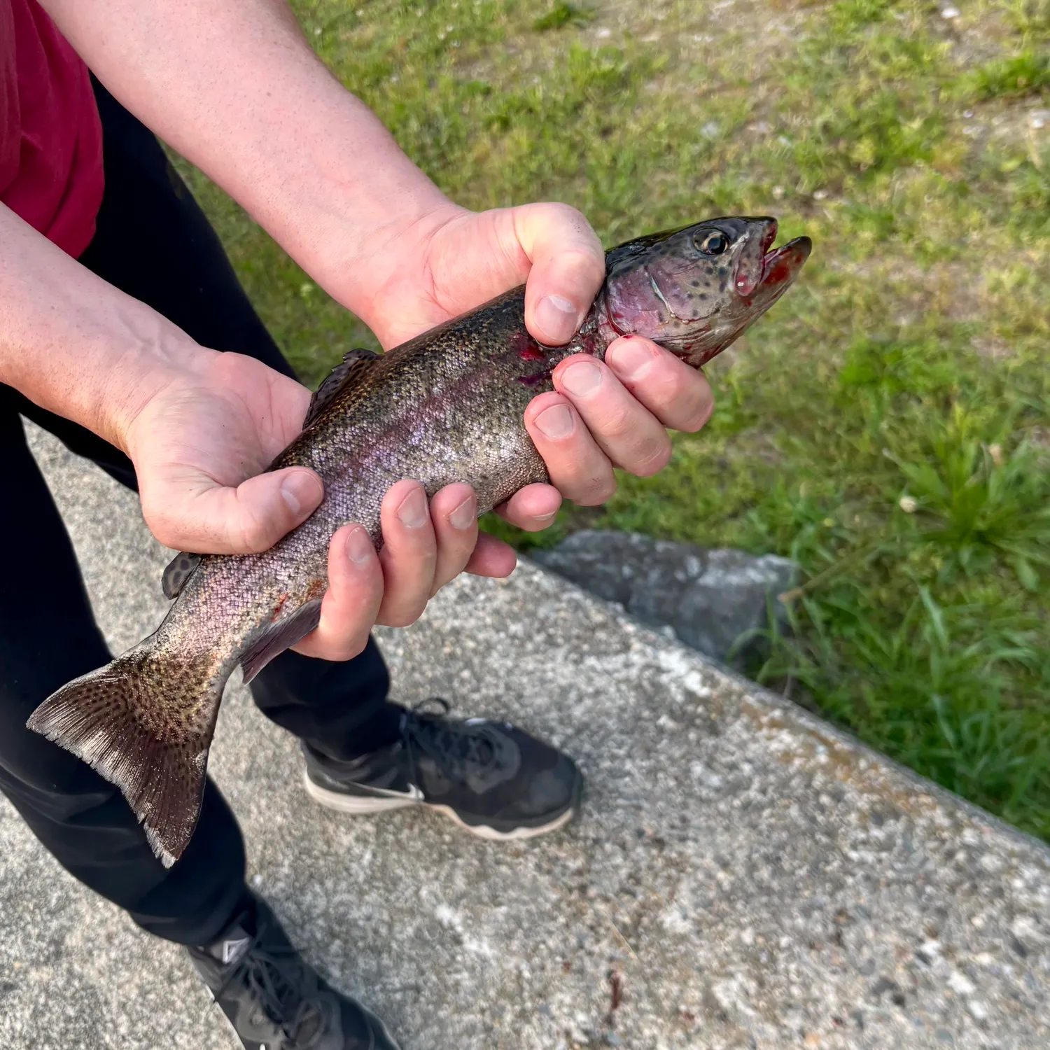 catch