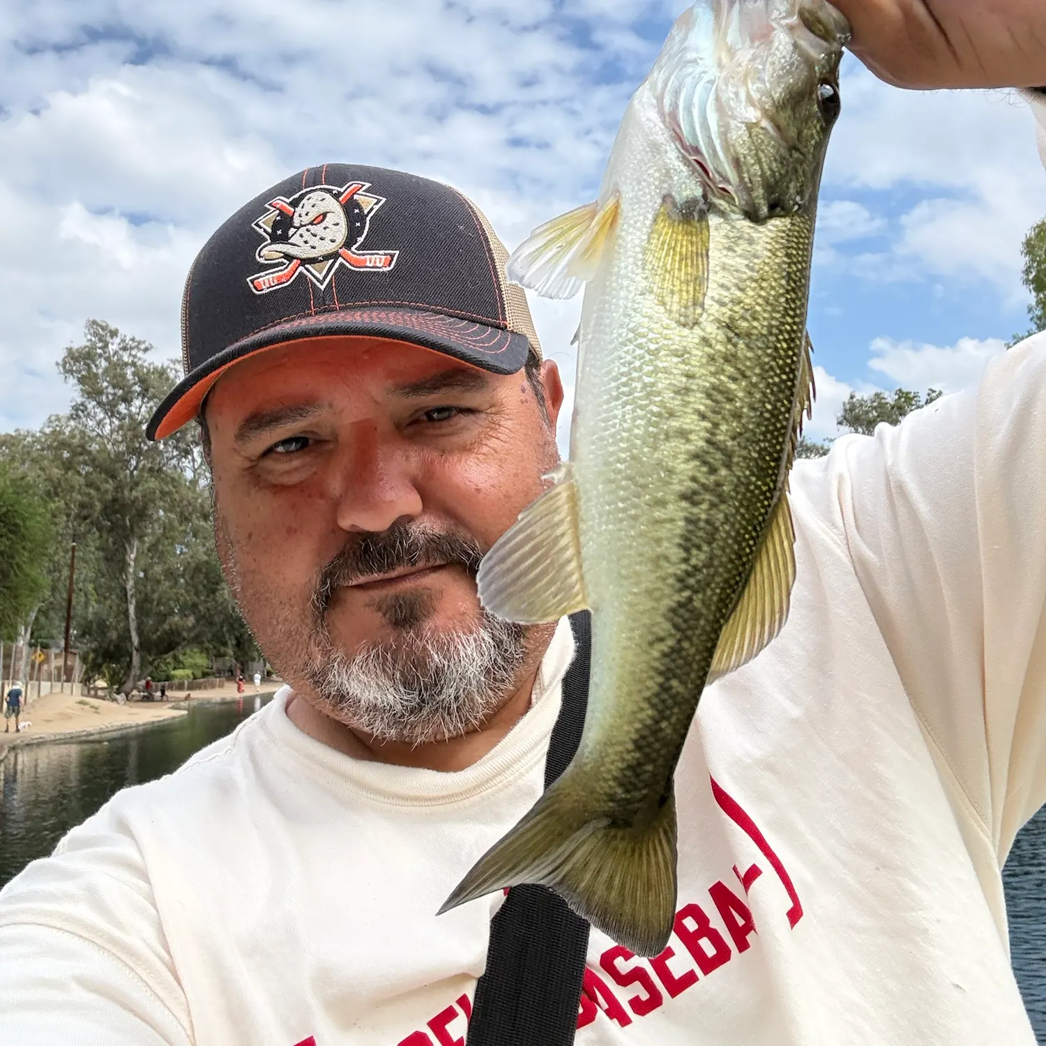 Largemouth bass caught on Fishbrain
