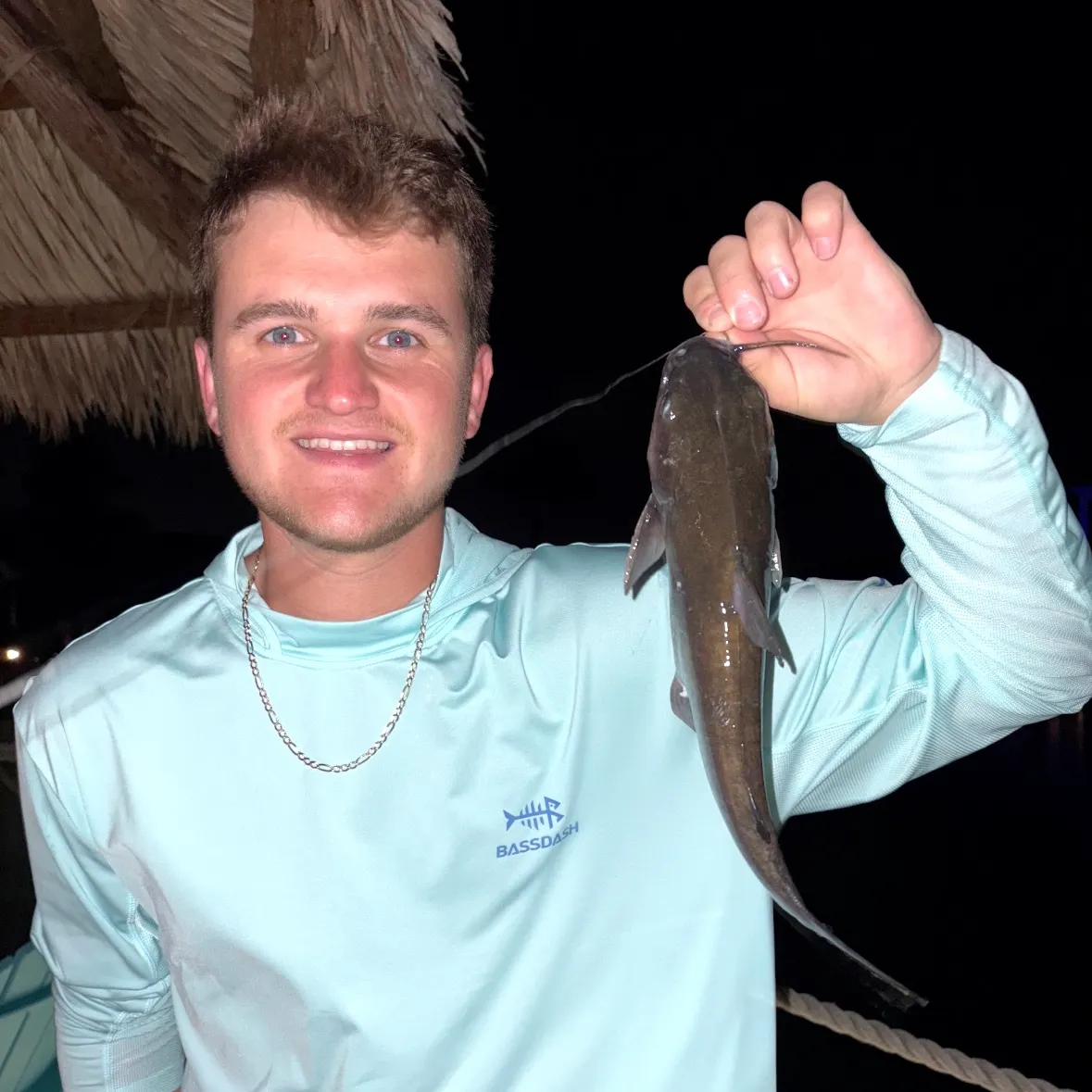 Hardhead sea catfish caught on Fishbrain