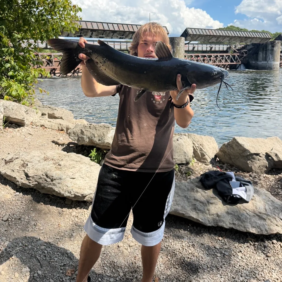 Channel catfish caught on Fishbrain