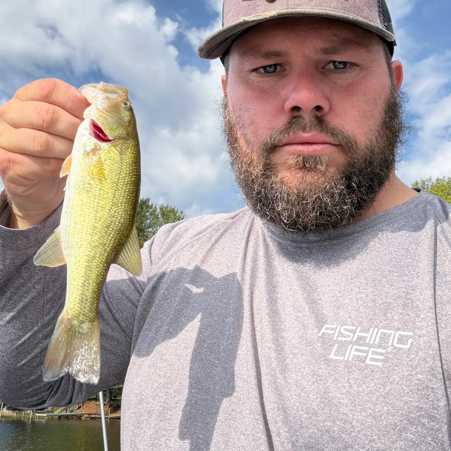 Largemouth bass caught on Fishbrain