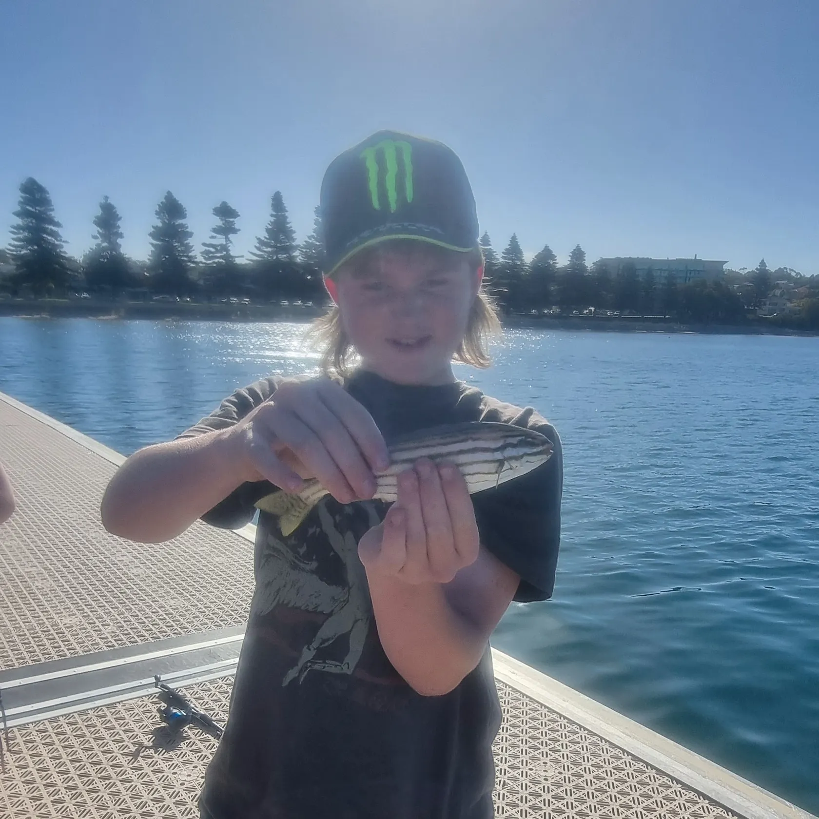 The most recent Javelin grunter catches on Fishbrain