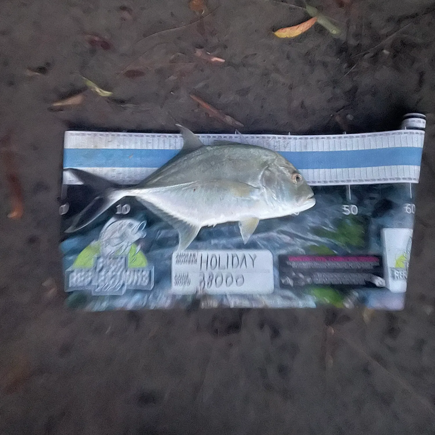 The most recent Giant trevally catches on Fishbrain