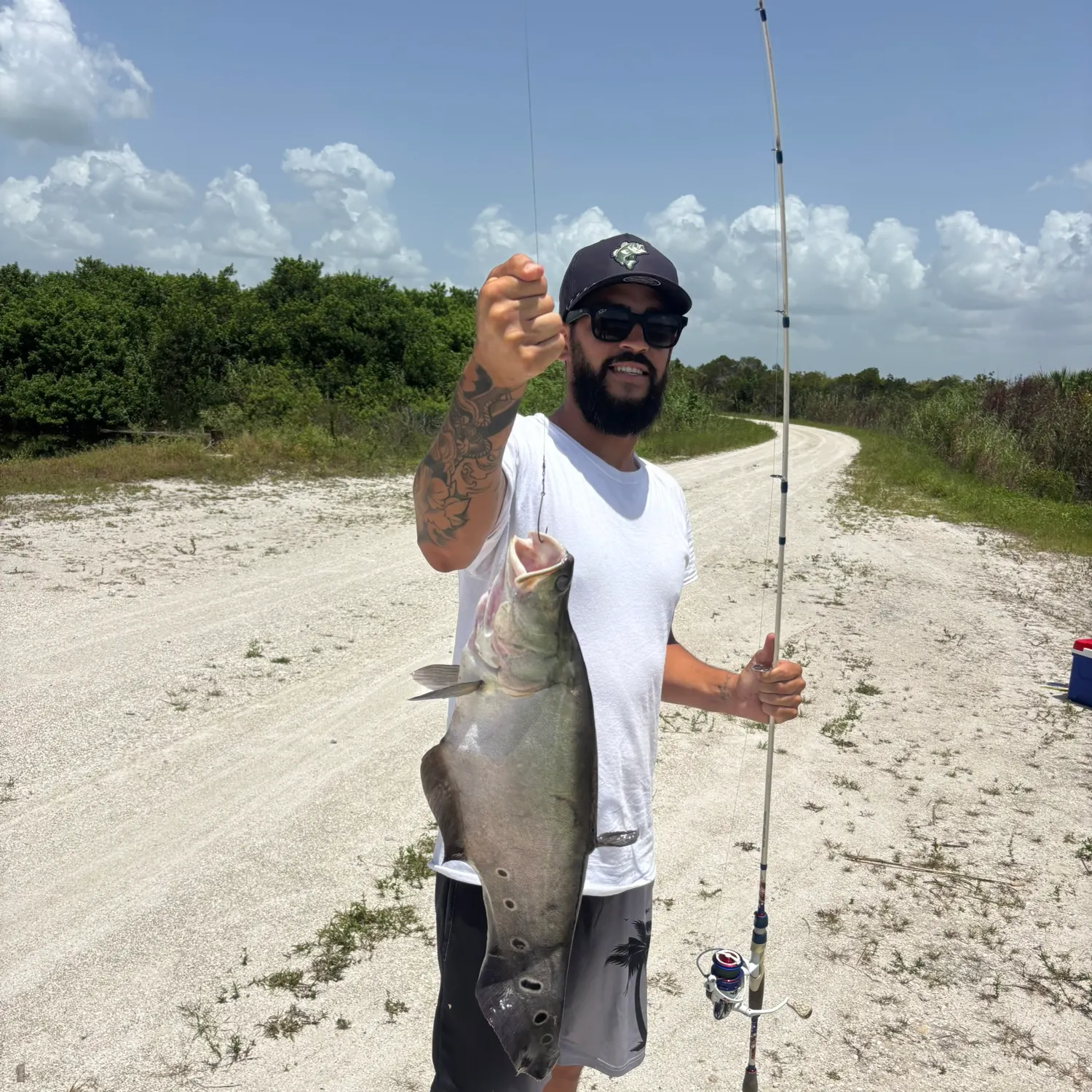 The most recent Clown knifefish catches on Fishbrain