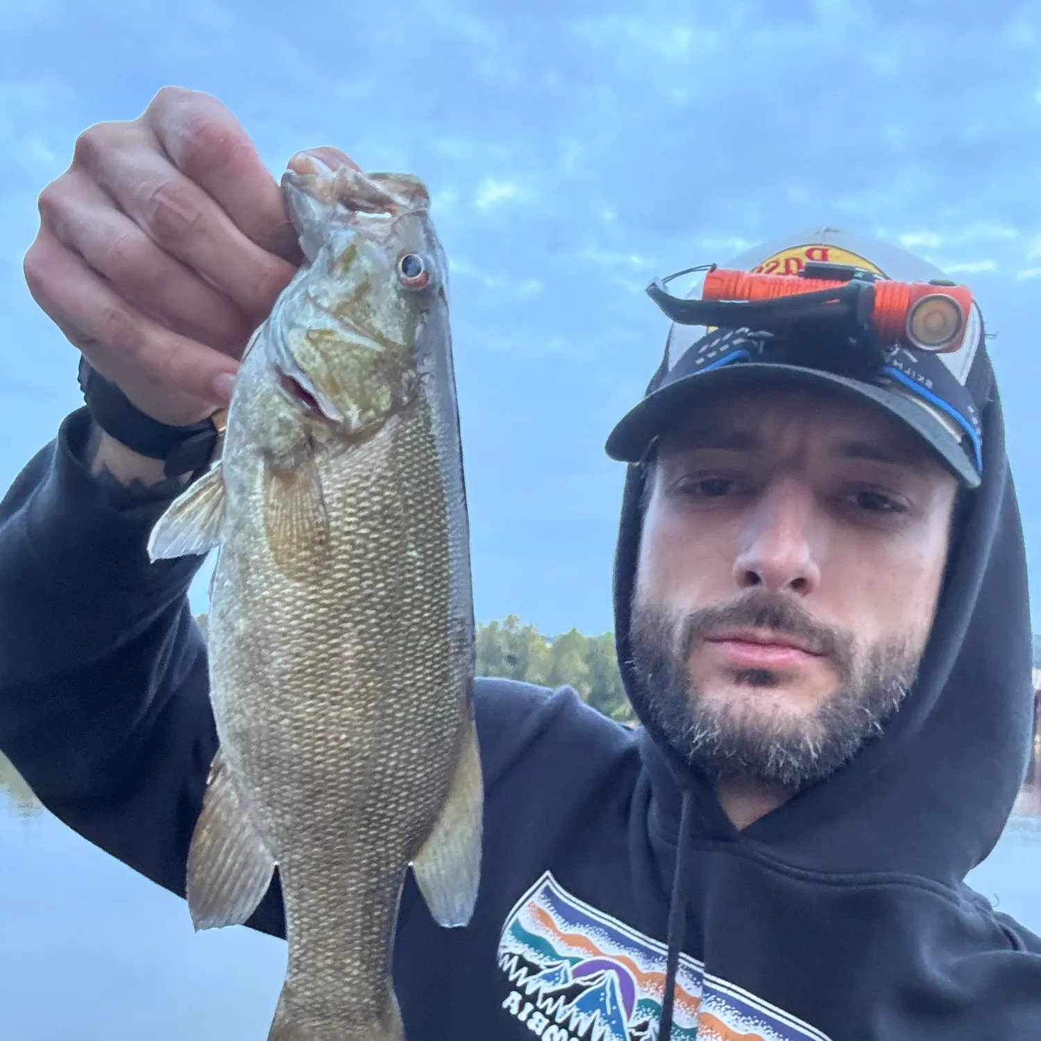 Smallmouth bass caught on Fishbrain