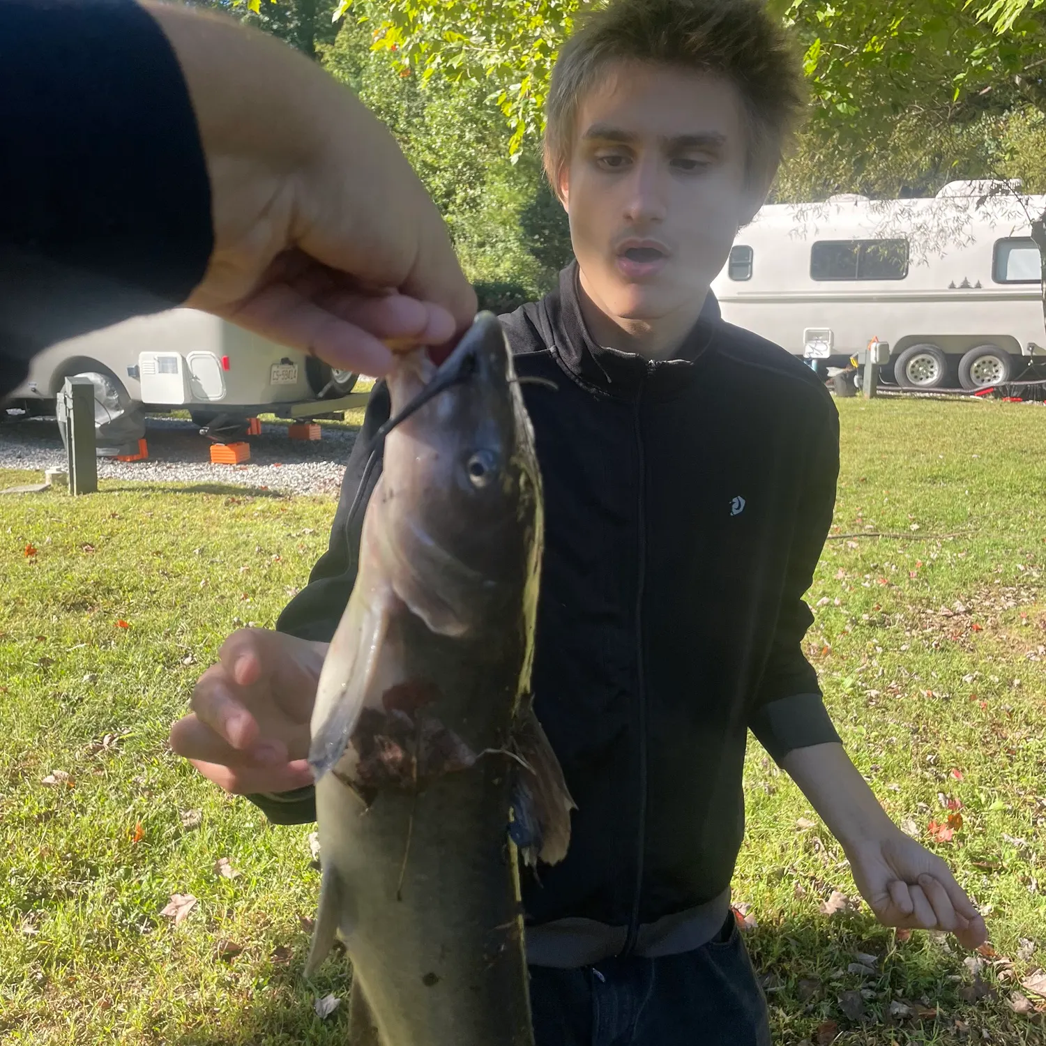 Channel catfish caught on Fishbrain
